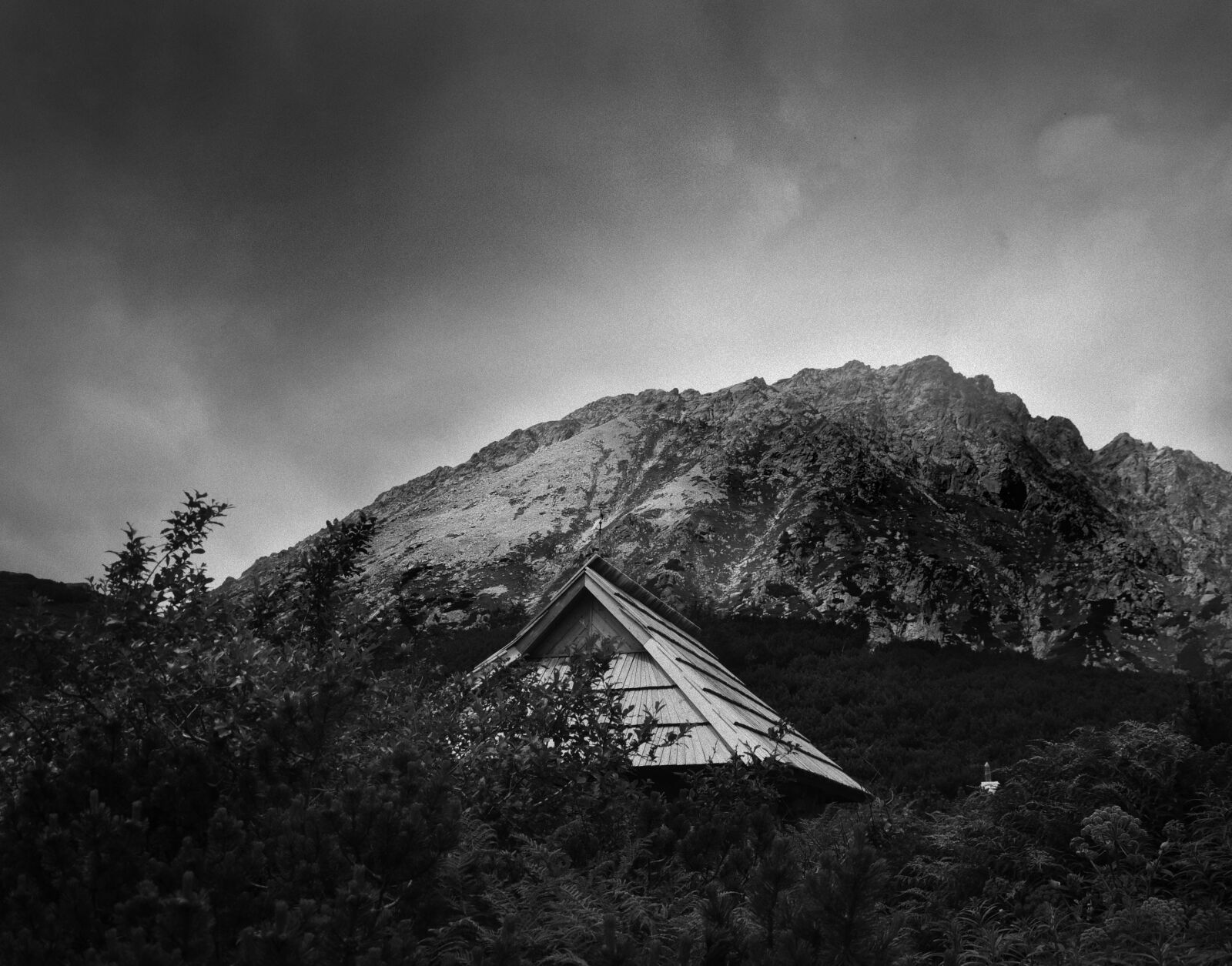 Nikon D90 sample photo. Black, and, white, high photography