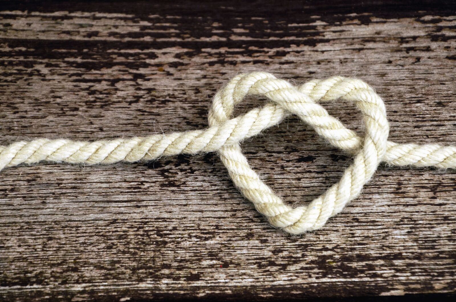 Nikon D5100 sample photo. Rope, wood, heart, love photography