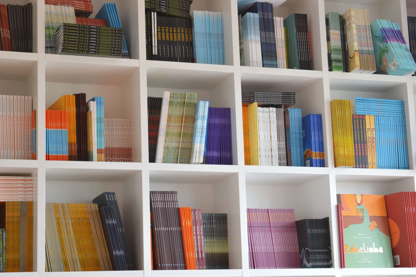 Nikon D3200 sample photo. Books, bookcase, organization photography