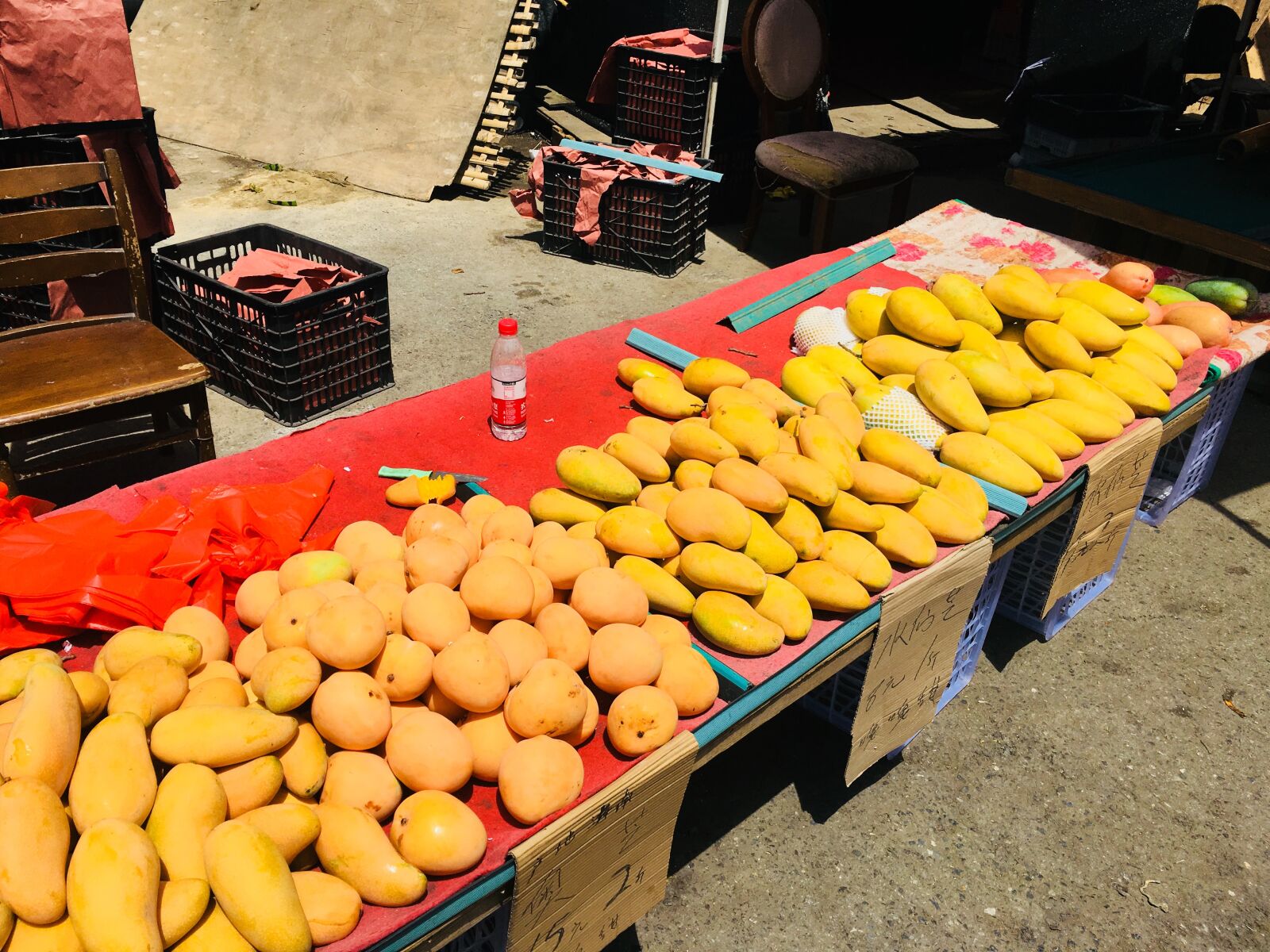 Apple iPhone 6s sample photo. Mango, shopping, fruit photography