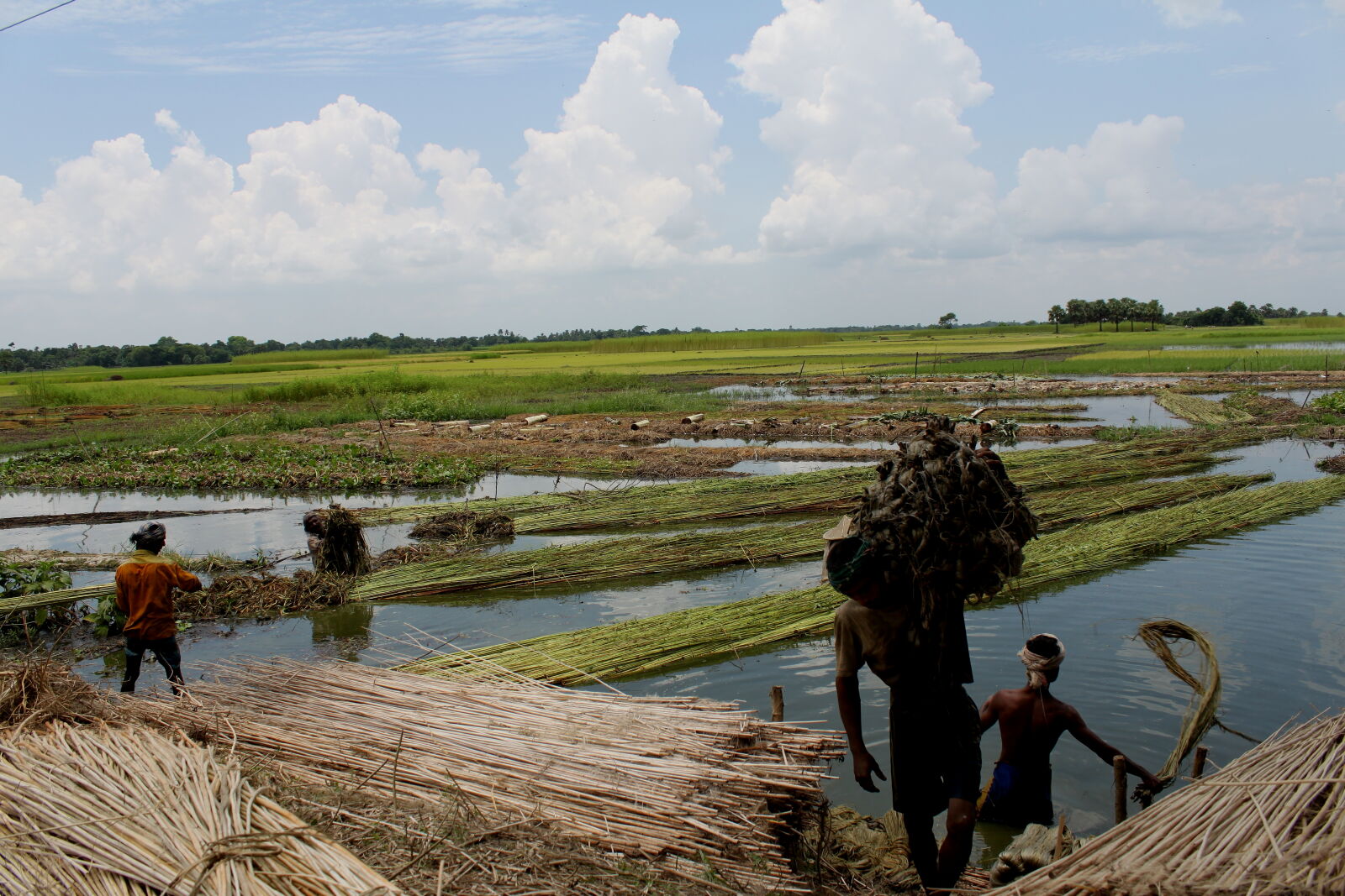 Canon EOS 500D (EOS Rebel T1i / EOS Kiss X3) sample photo. Bangladesh, canal, fisherman, nature photography
