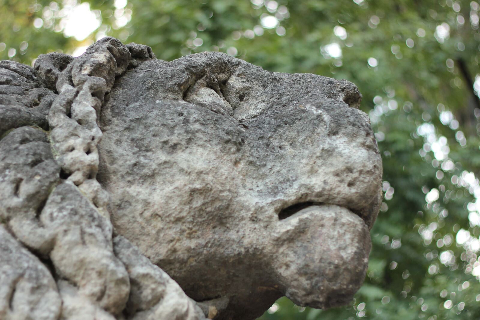 Canon EOS 550D (EOS Rebel T2i / EOS Kiss X4) sample photo. Lion, sculpture, artwork, carving photography