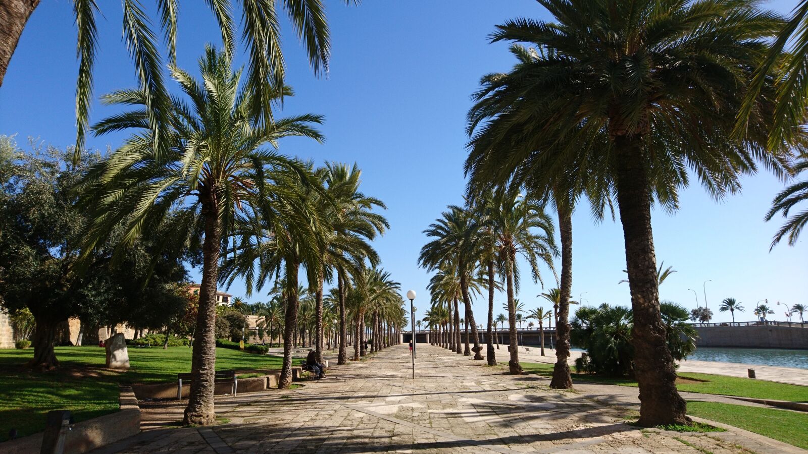 Sony Xperia X Compact sample photo. Palma de mallorca, passeig photography