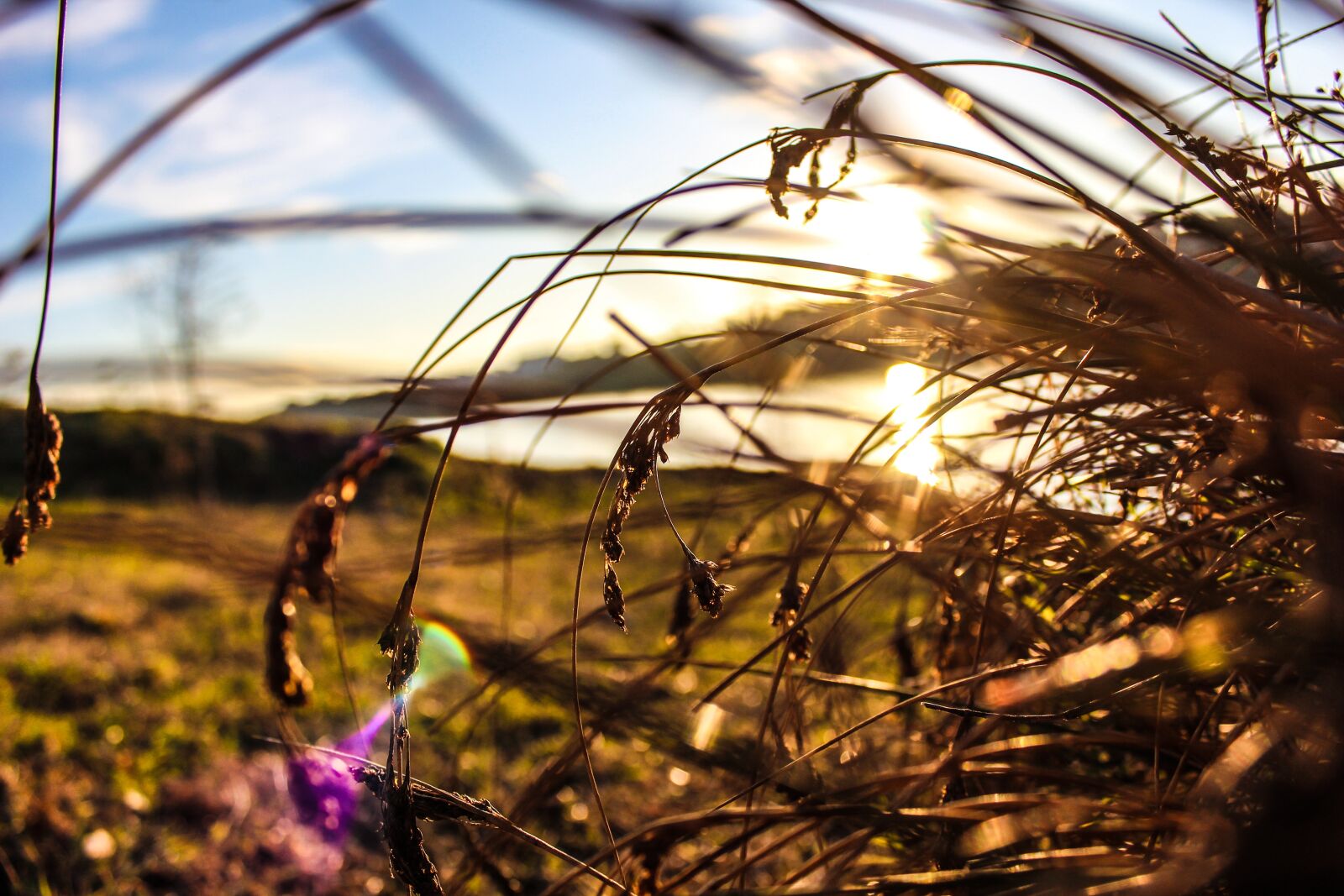 Canon EOS 600D (Rebel EOS T3i / EOS Kiss X5) sample photo. Nature, landscape, autumn photography
