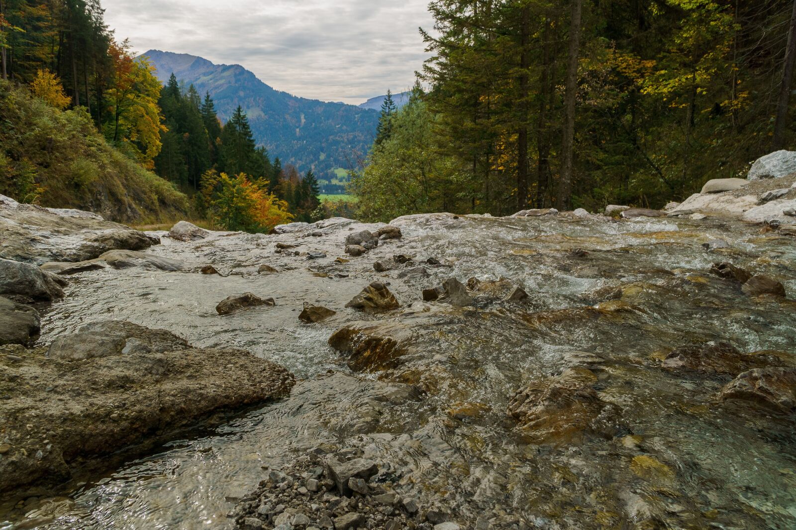 Sony a6000 + Sony E PZ 18-105mm F4 G OSS sample photo. Foghorn, wrinkle bach, tobel photography