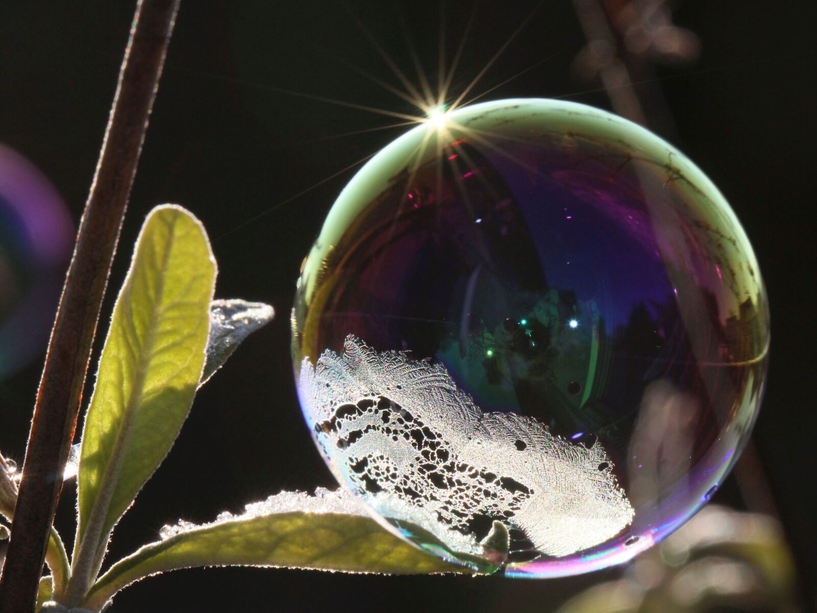 Canon EF 100mm F2.8L Macro IS USM sample photo. Soap bubble, light, reflection photography