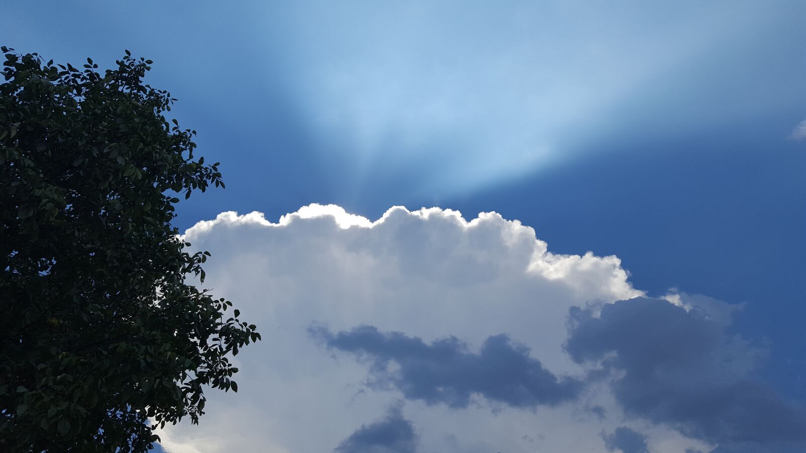 Samsung GALAXY S6 edge sample photo. Sun, cloud, the sky photography