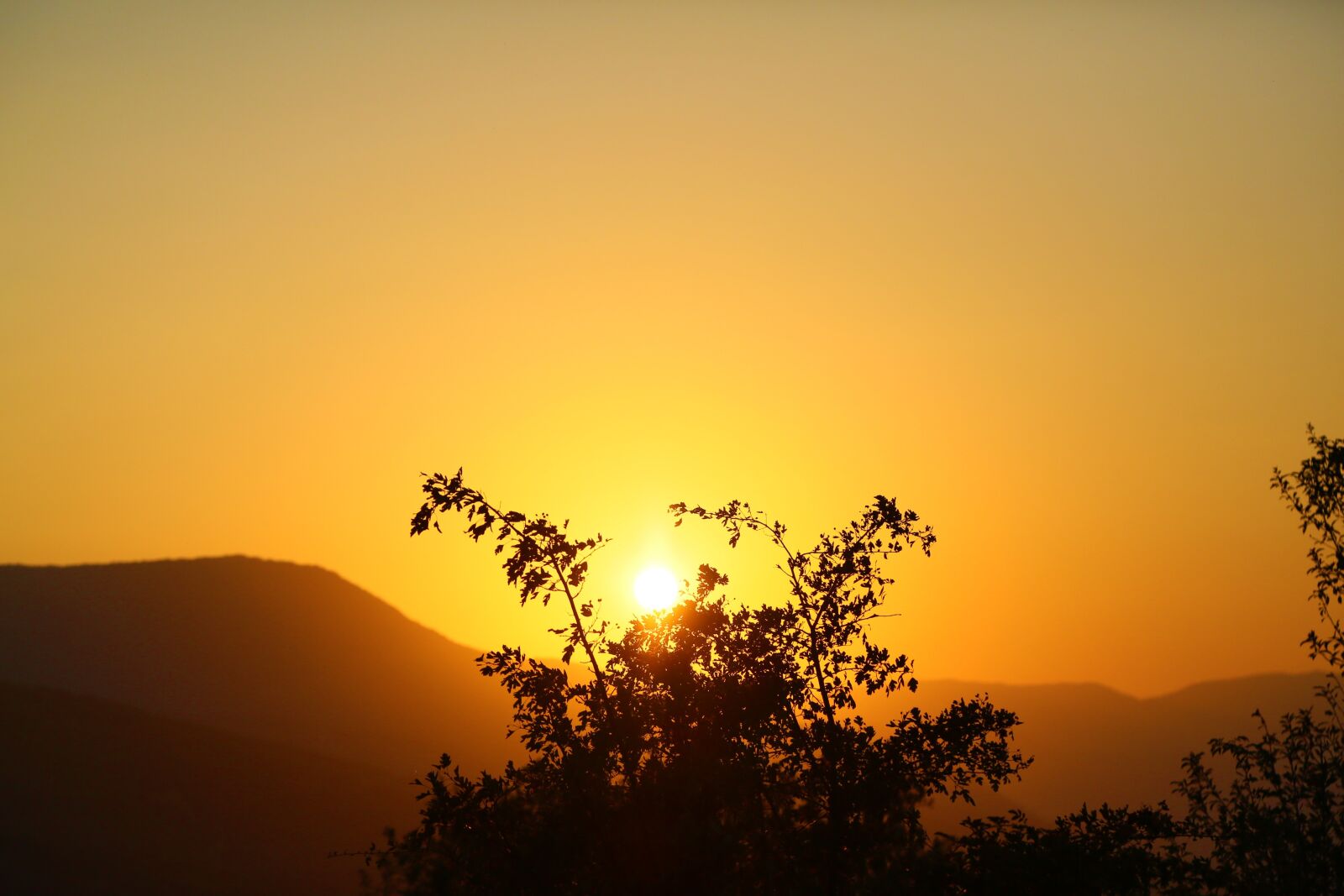 Canon EF 24-105mm F4L IS USM sample photo. Sunset, nature, landscape photography