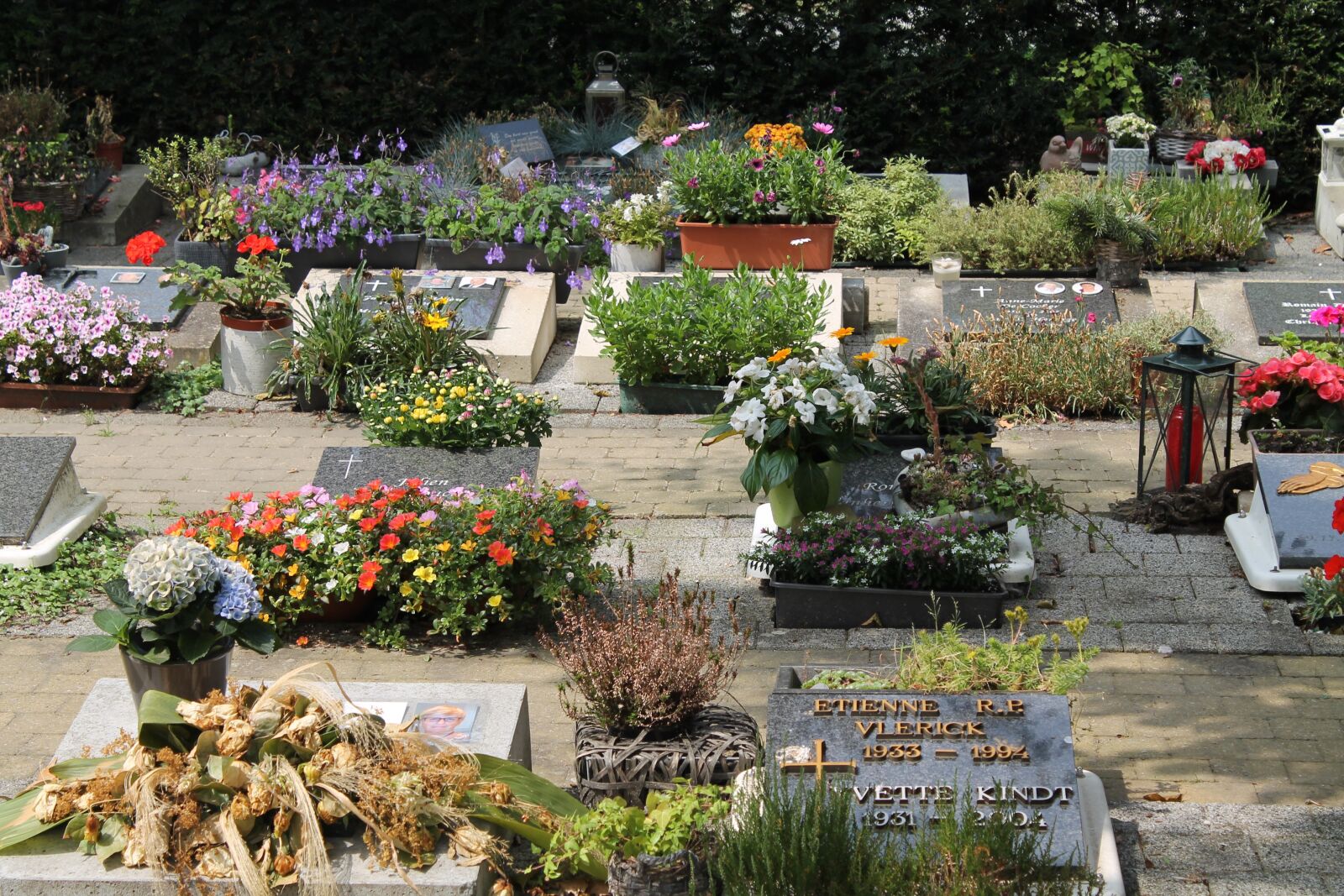 Canon EOS 1100D (EOS Rebel T3 / EOS Kiss X50) sample photo. Cemetary, flowers, death photography
