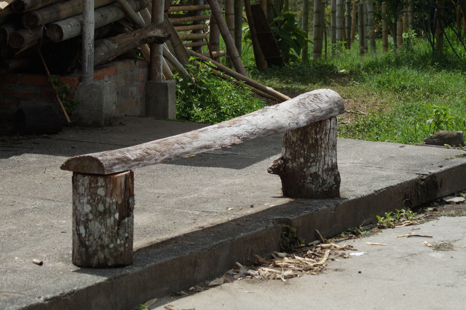 Sony SLT-A58 sample photo. Wood, farm, butaco photography