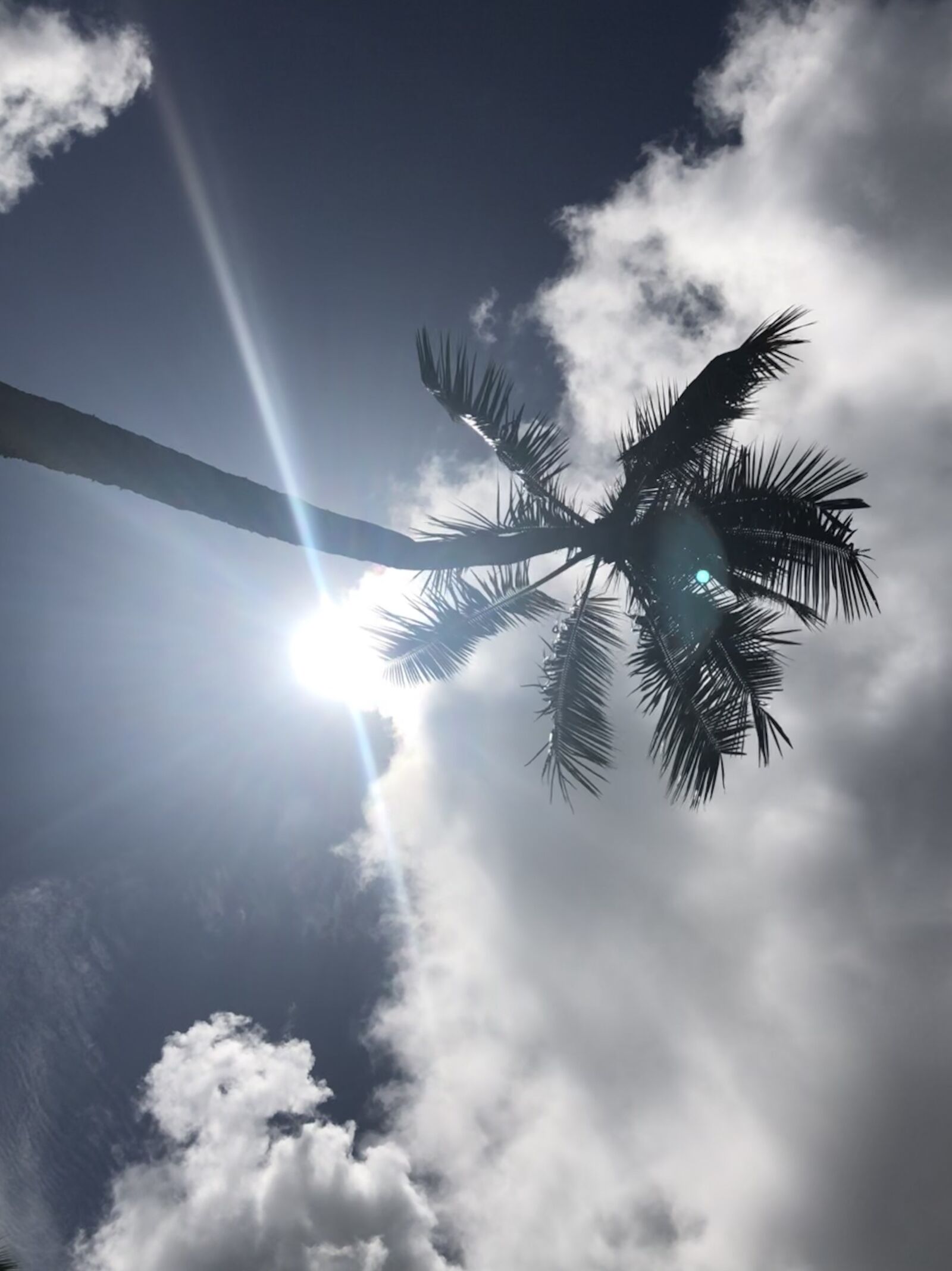 iPhone 8 back camera 3.99mm f/1.8 sample photo. Sky, paradise, peaceful photography