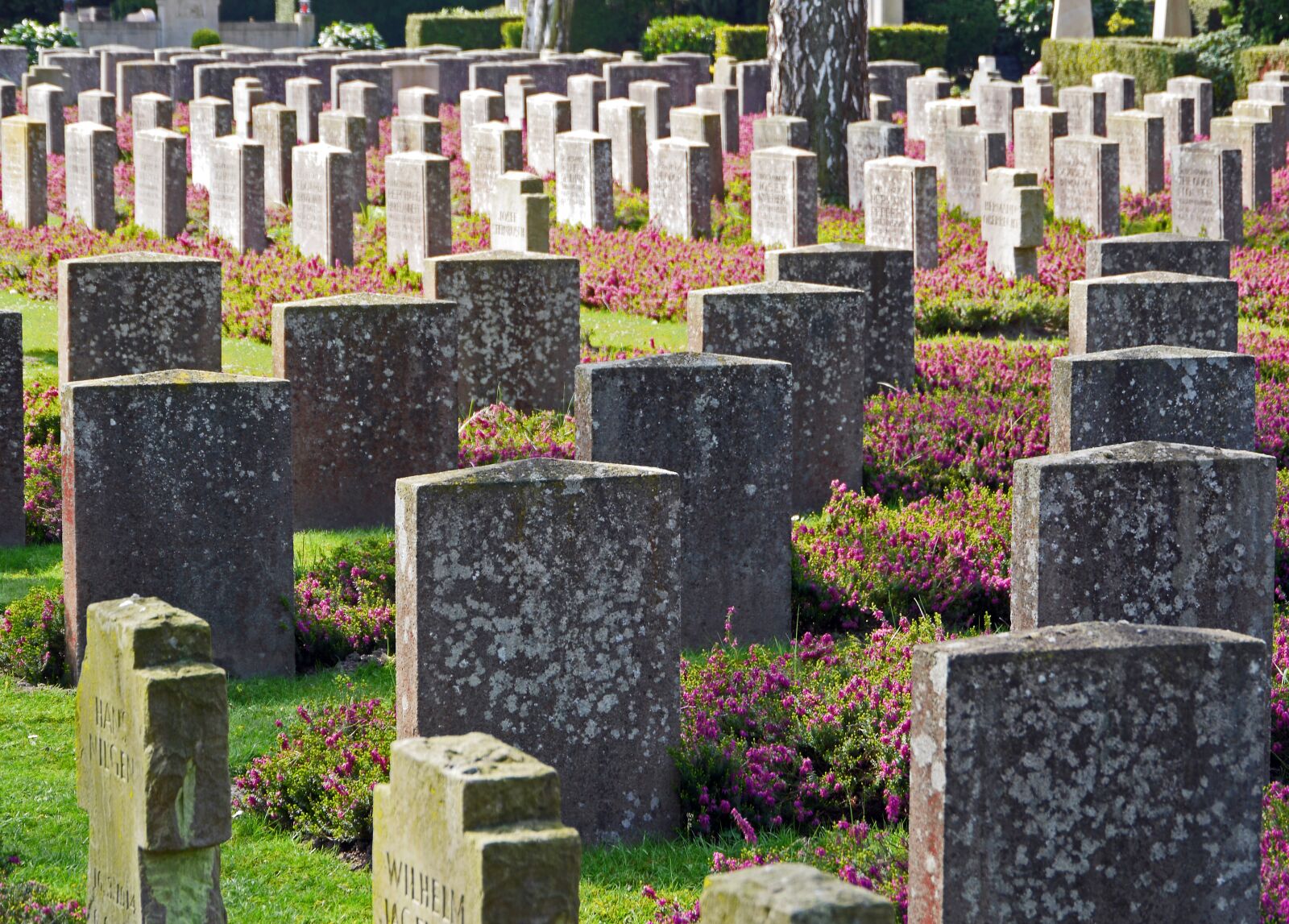 Panasonic Lumix DMC-GH3 sample photo. Military cemetery, graves, world photography