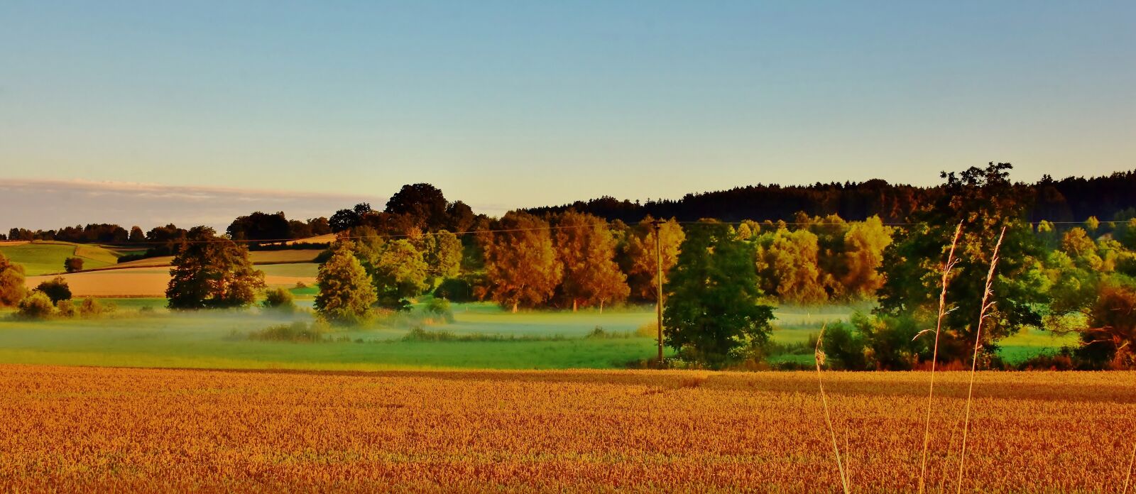 Nikon D7200 sample photo. Landscape, morning, fog photography