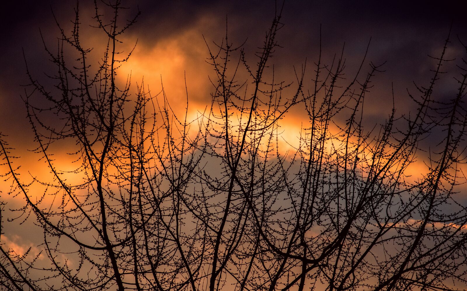 Canon EF-S 55-250mm F4-5.6 IS STM sample photo. Afterglow, sunset, abendstimmung photography