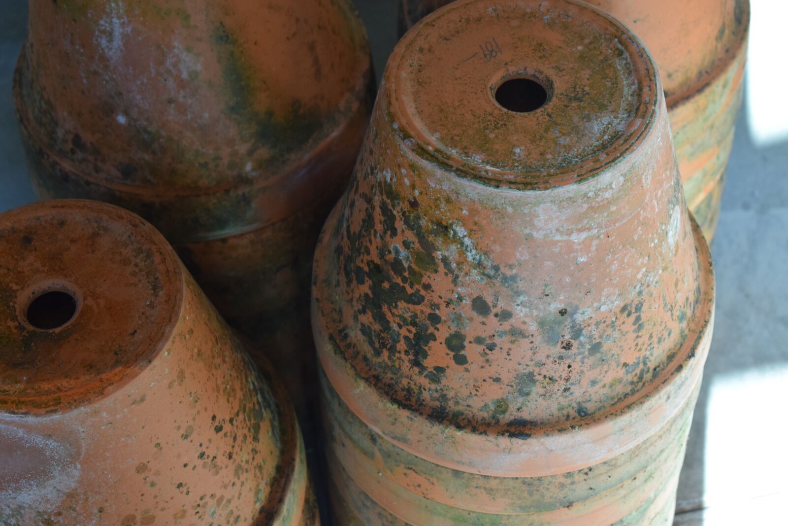 Nikon D3300 sample photo. Pots, cultivation, flowers photography