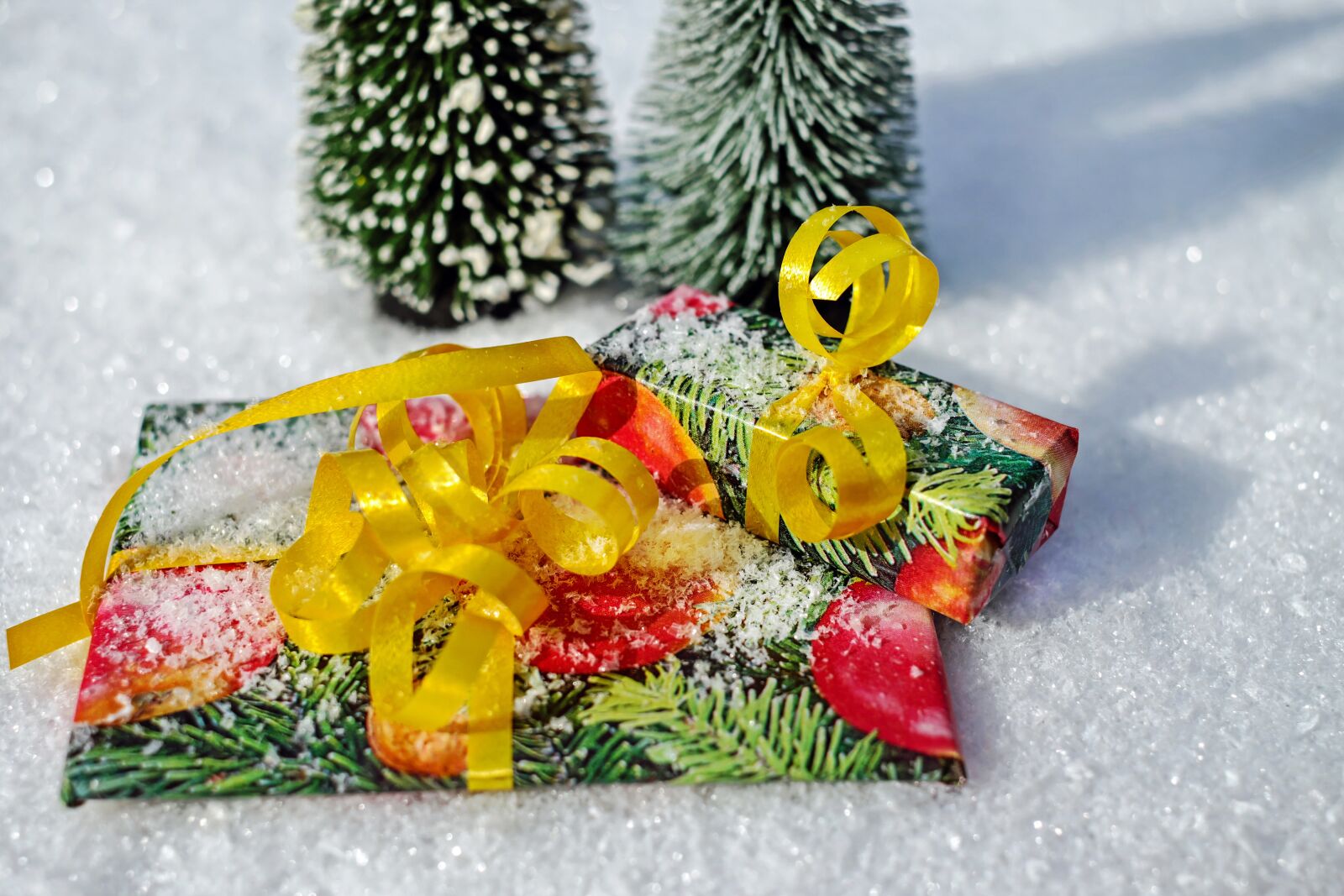 Fujifilm X-T10 + Fujifilm XF 35mm F1.4 R sample photo. Gift, package, loop photography