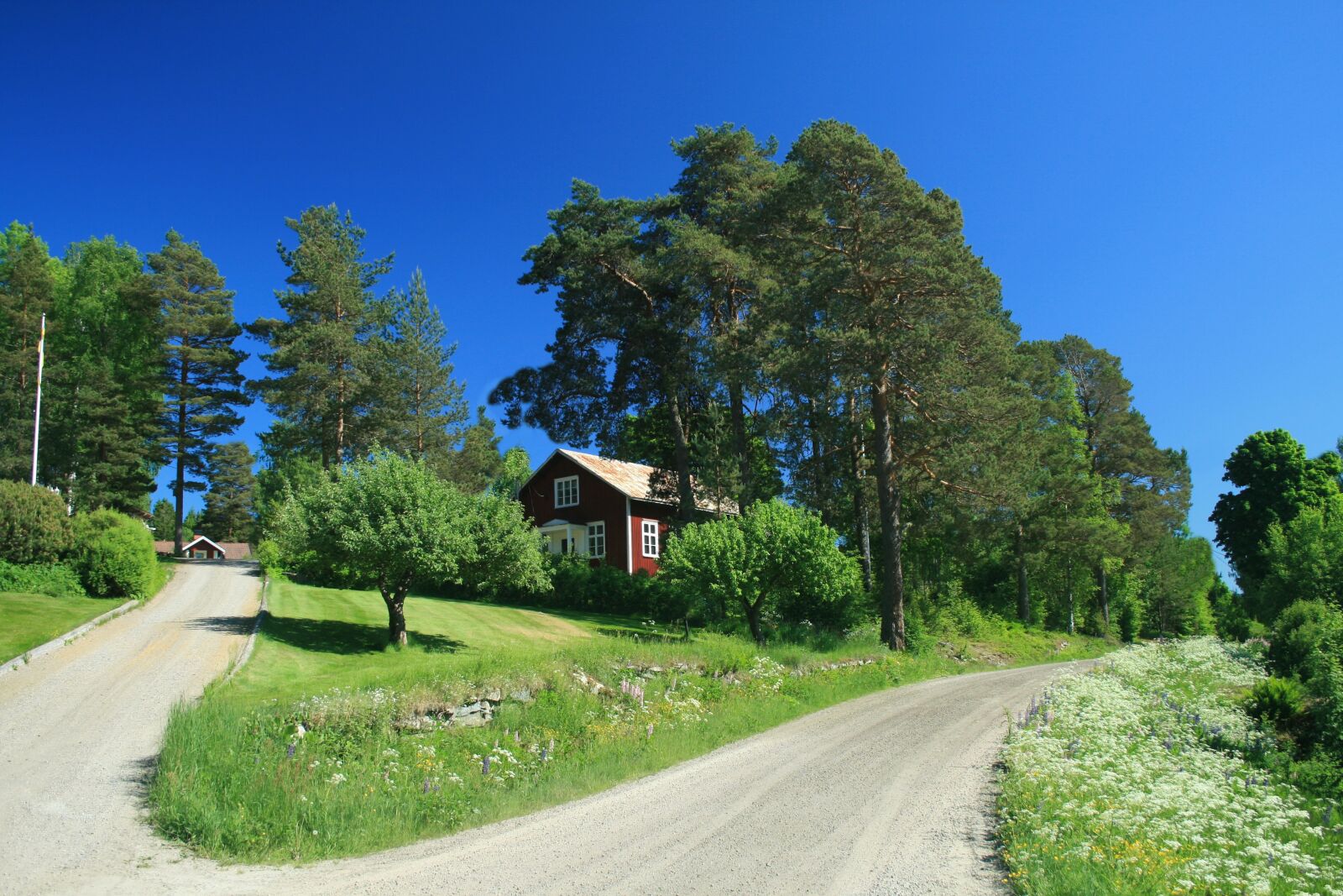 Canon EOS 400D (EOS Digital Rebel XTi / EOS Kiss Digital X) sample photo. Sweden, nature, road photography