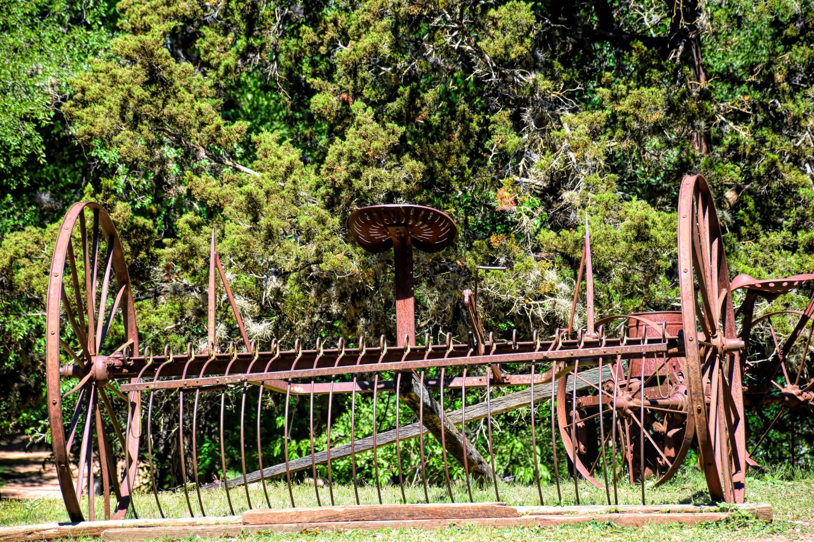 Nikon D5500 sample photo. Vintage hay rake, vintage photography