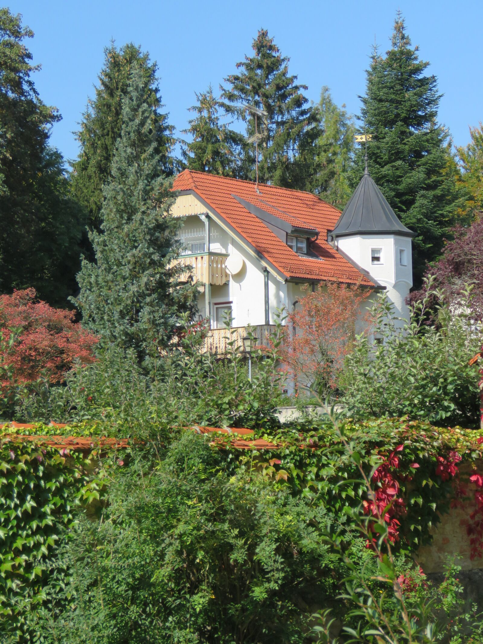 Canon PowerShot SX60 HS sample photo. House, tree, nature photography