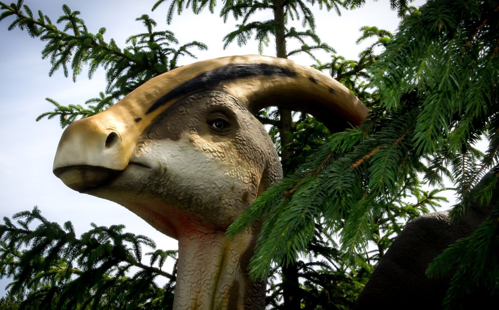 Canon EOS 1100D (EOS Rebel T3 / EOS Kiss X50) sample photo. Dinosaur, prehistoric times, herbivores photography