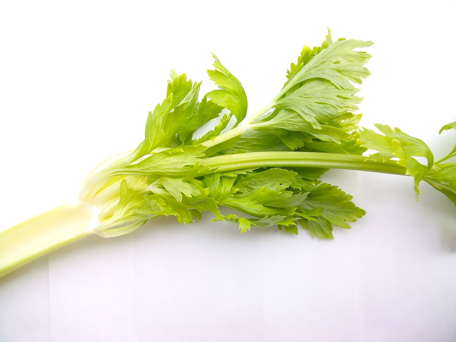 Pentax Optio E75 sample photo. Vegetables, material, green photography
