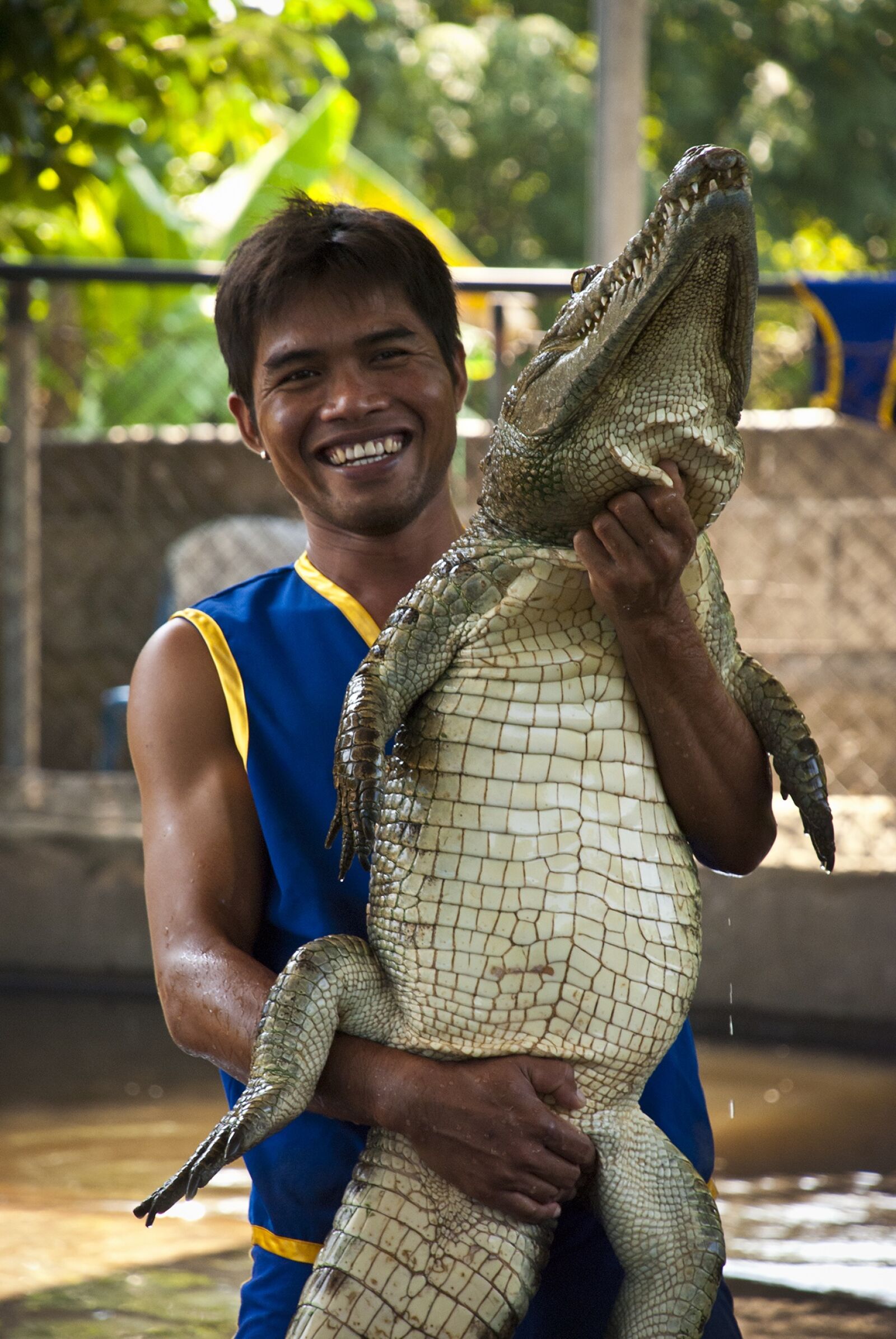 Nikon D80 sample photo. Crocodile, alligator, zoo photography