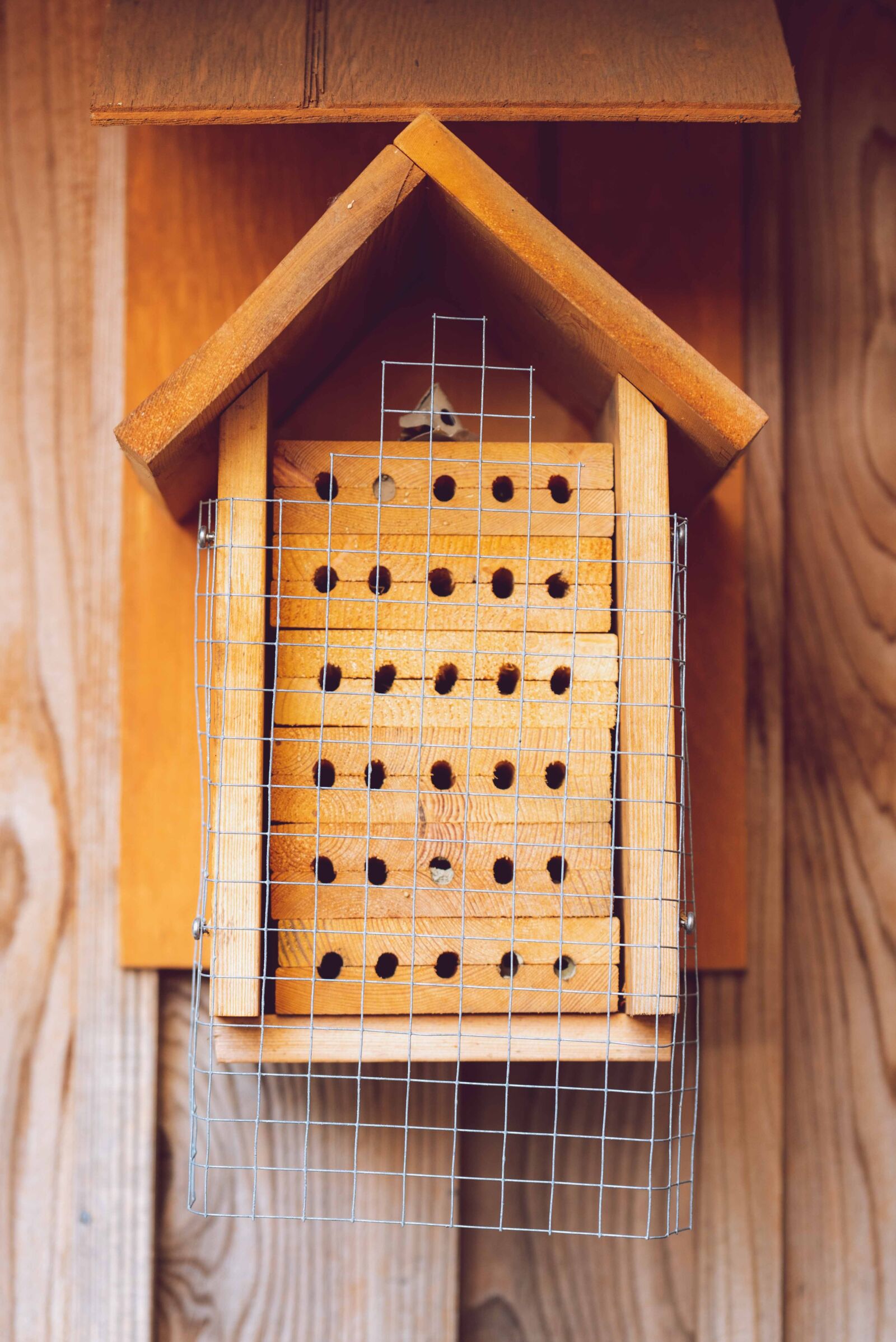 Nikon D750 sample photo. Insect house, bee hotel photography