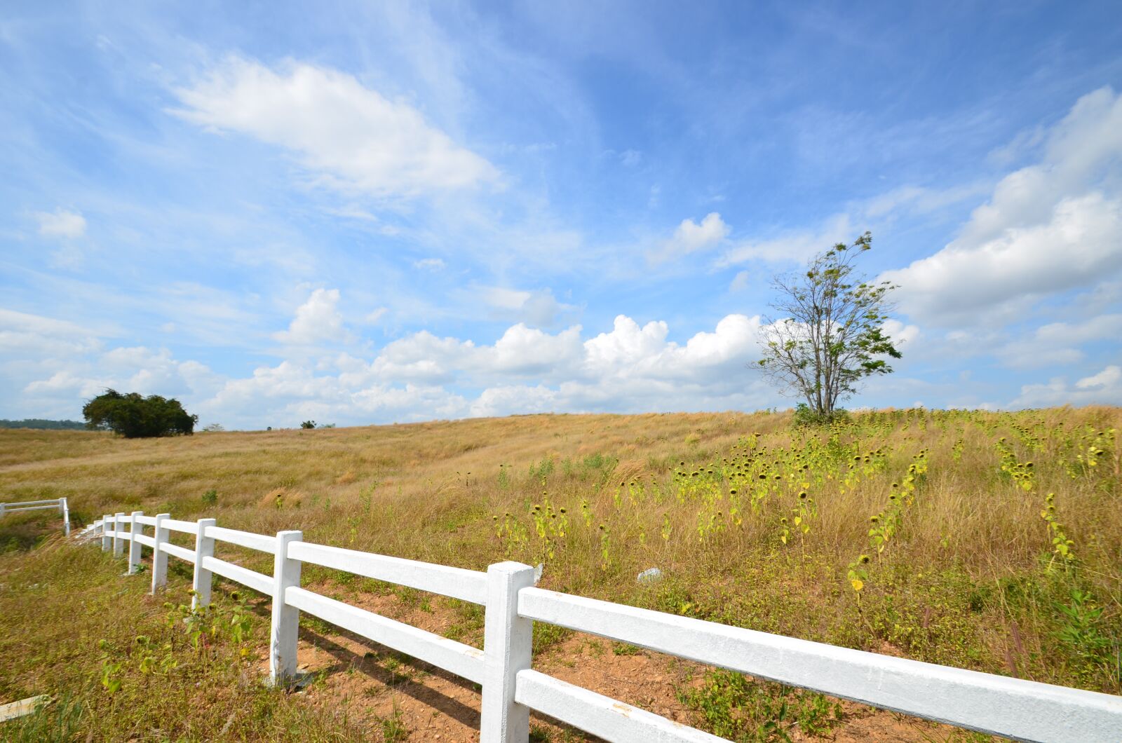 Nikon D7000 sample photo. Sky, cloud, sunset photography