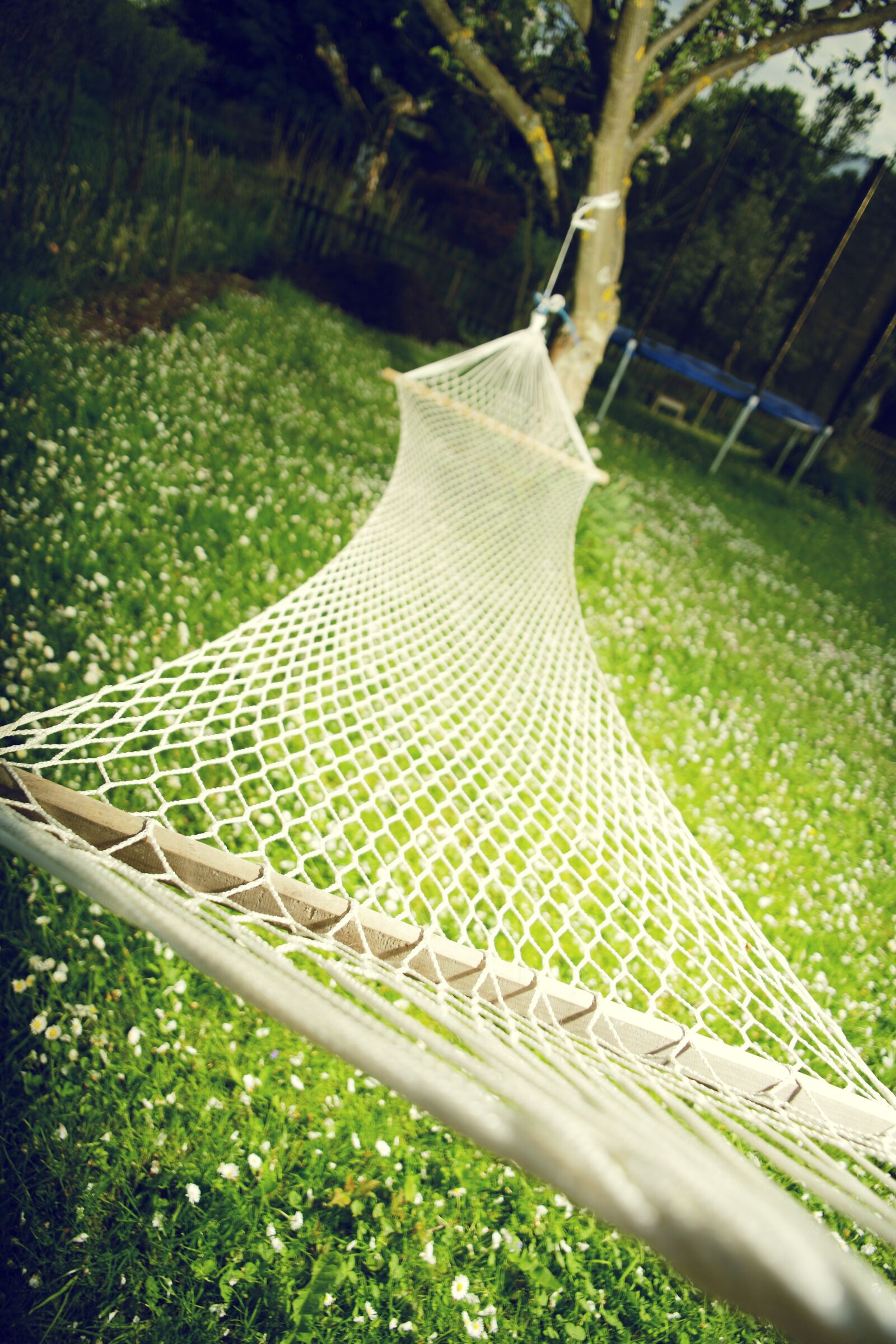 Canon EOS-1Ds Mark III sample photo. Hammock, garden, relax photography