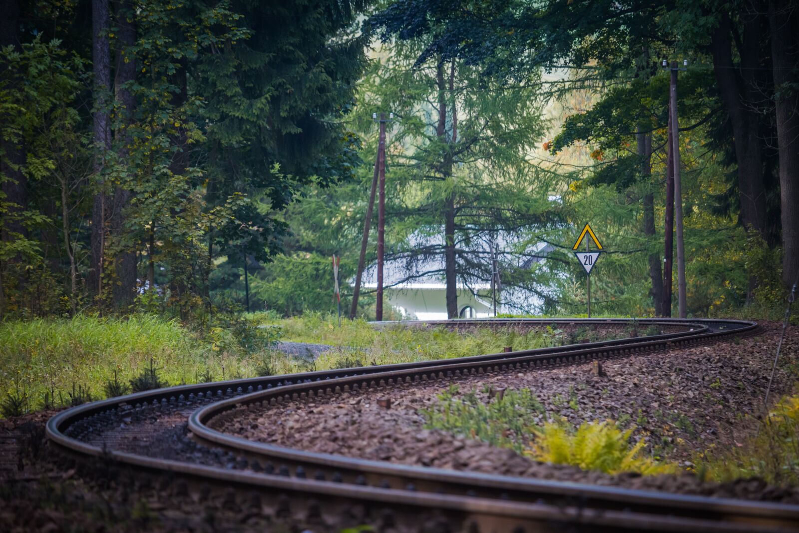 Les трек. Лес в волне в Великом Новгороде. Треклесам. Whistlestop Rails. Rail stop.