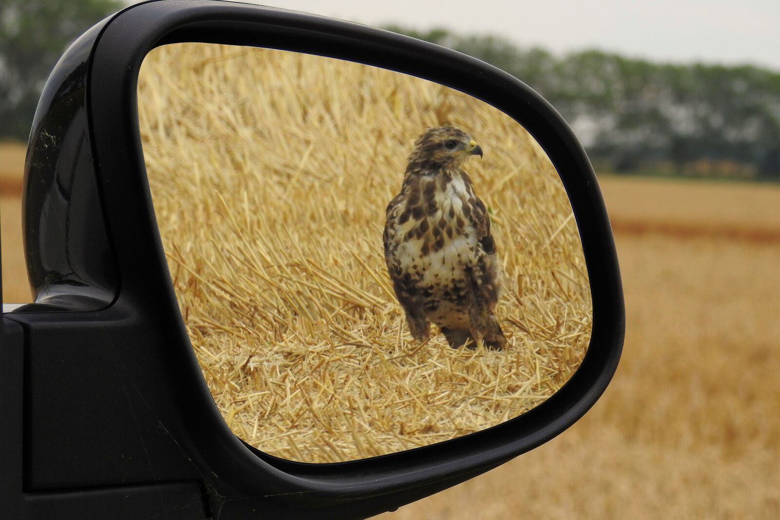 Nikon Coolpix P900 sample photo. Rear mirror, milan, red photography