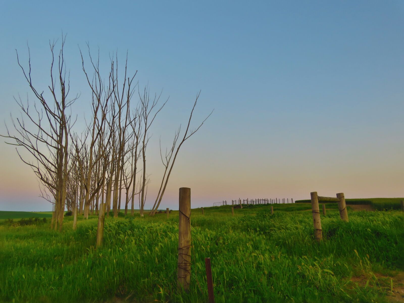 Canon PowerShot SX60 HS sample photo. Countryside, fence, sky photography