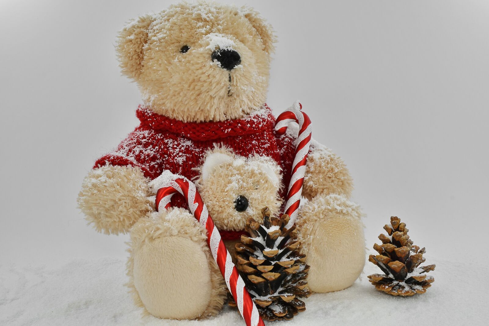 Nikon D5500 sample photo. Christmas, decoration, holiday, plush photography