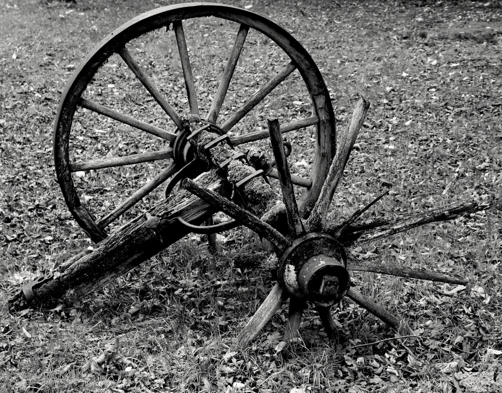 Canon EOS 1300D (EOS Rebel T6 / EOS Kiss X80) sample photo. Wagon wheel, wheel, wood photography