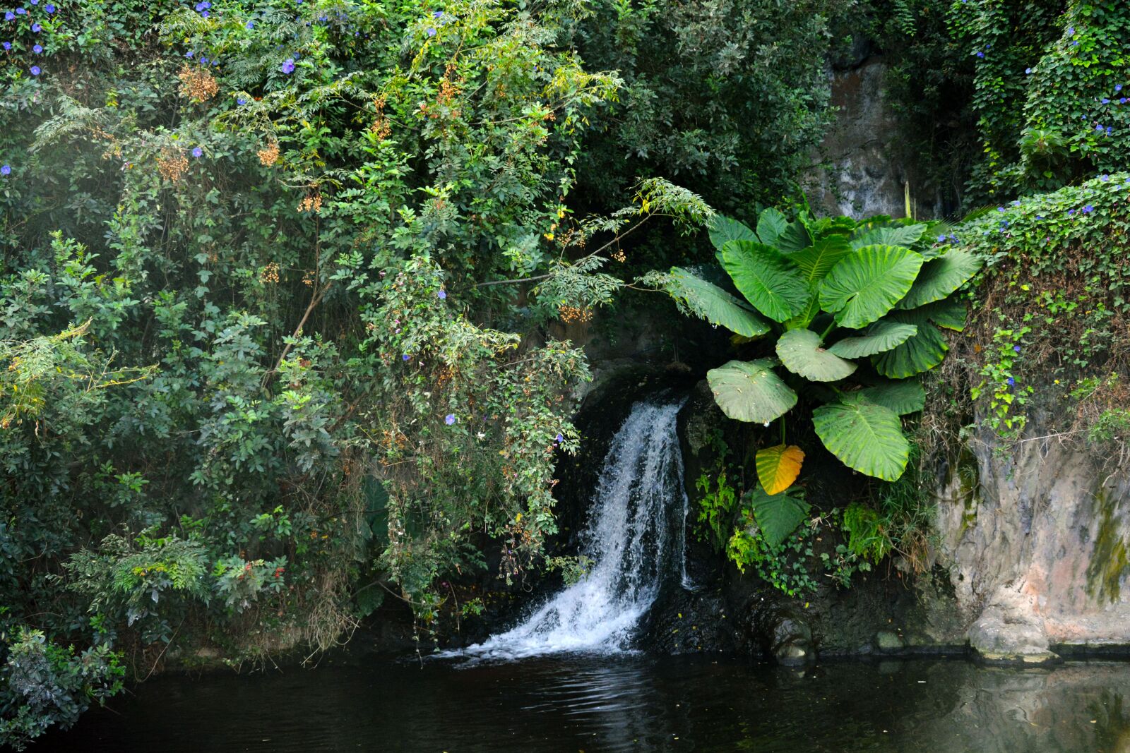 Nikon D7100 sample photo. Water, forest, river photography