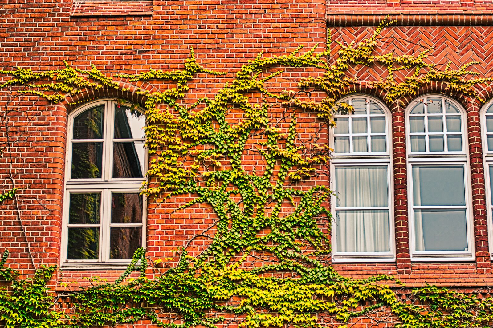 Nikon D5300 sample photo. Facade, make the most photography