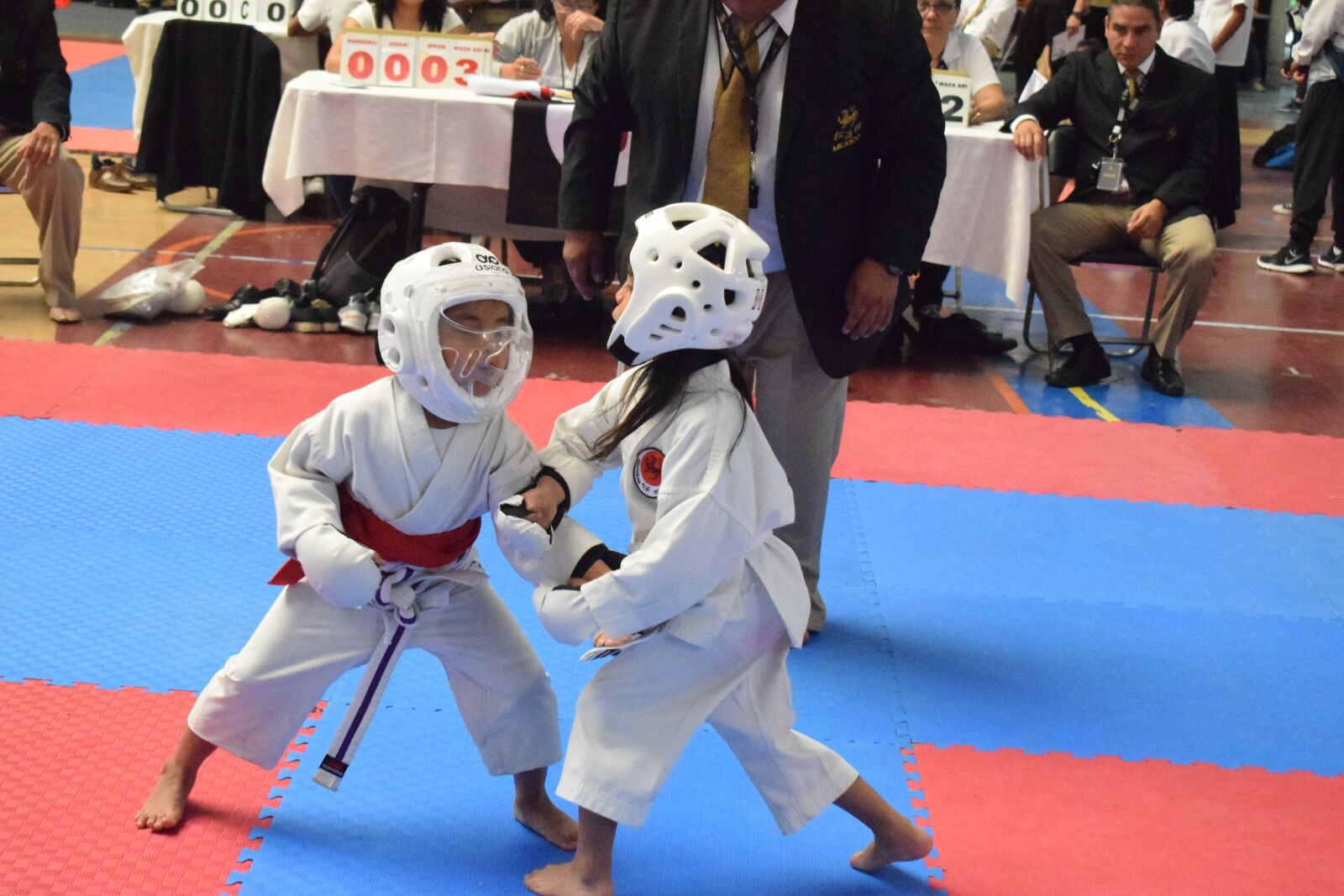 Nikon D3300 sample photo. Kumite, kids kumite, karate photography