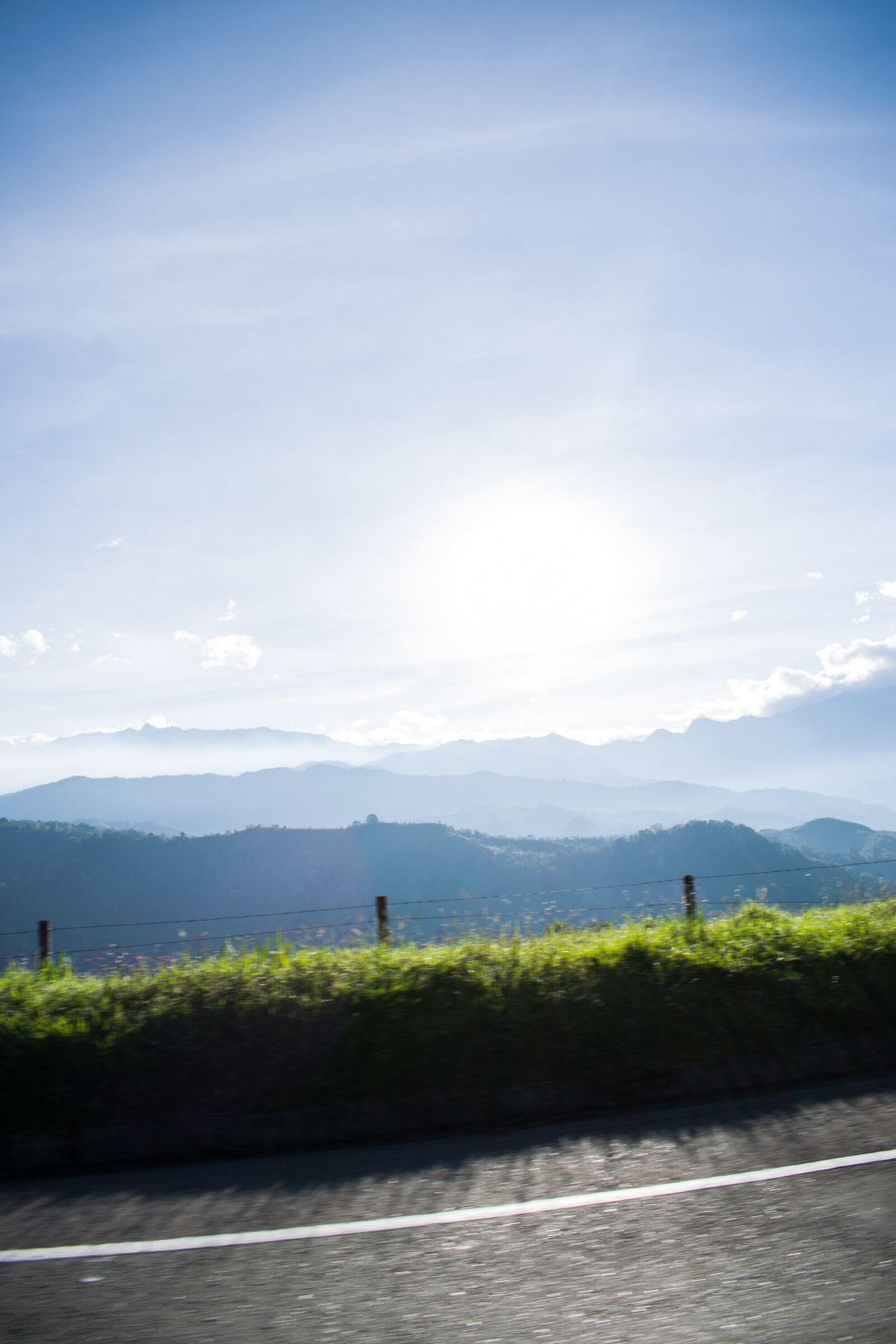 Nikon D5300 sample photo. Path, landscape, nature photography