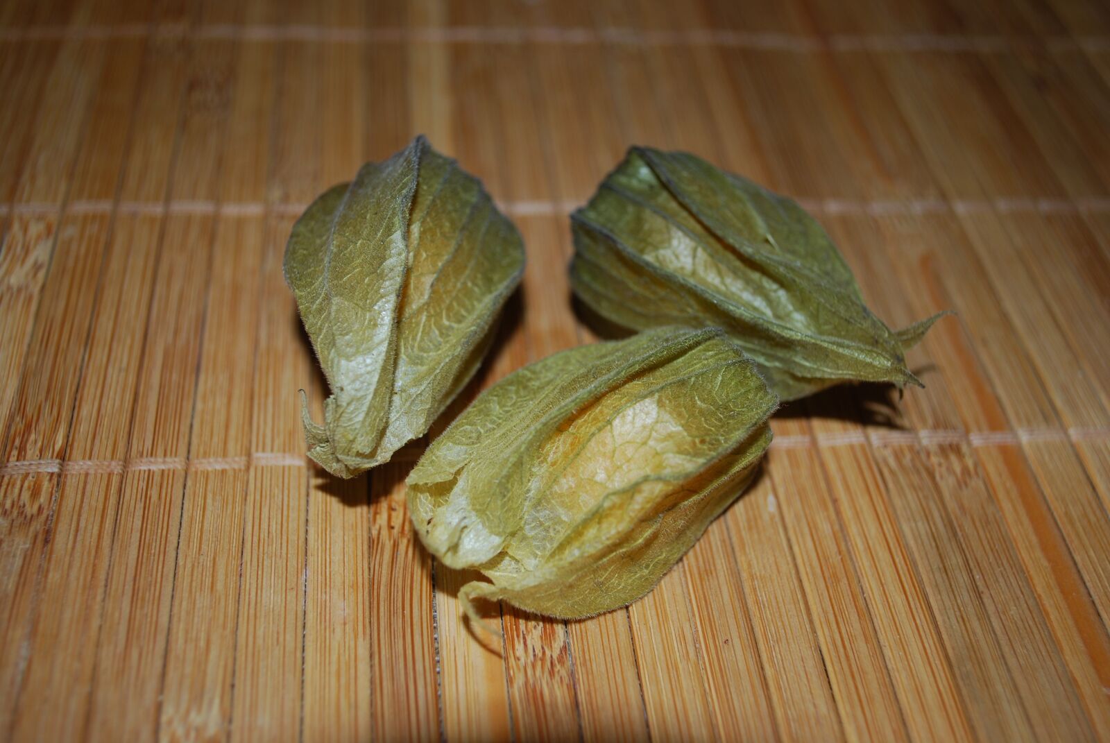 Nikon D60 sample photo. Three, closed, physalis photography