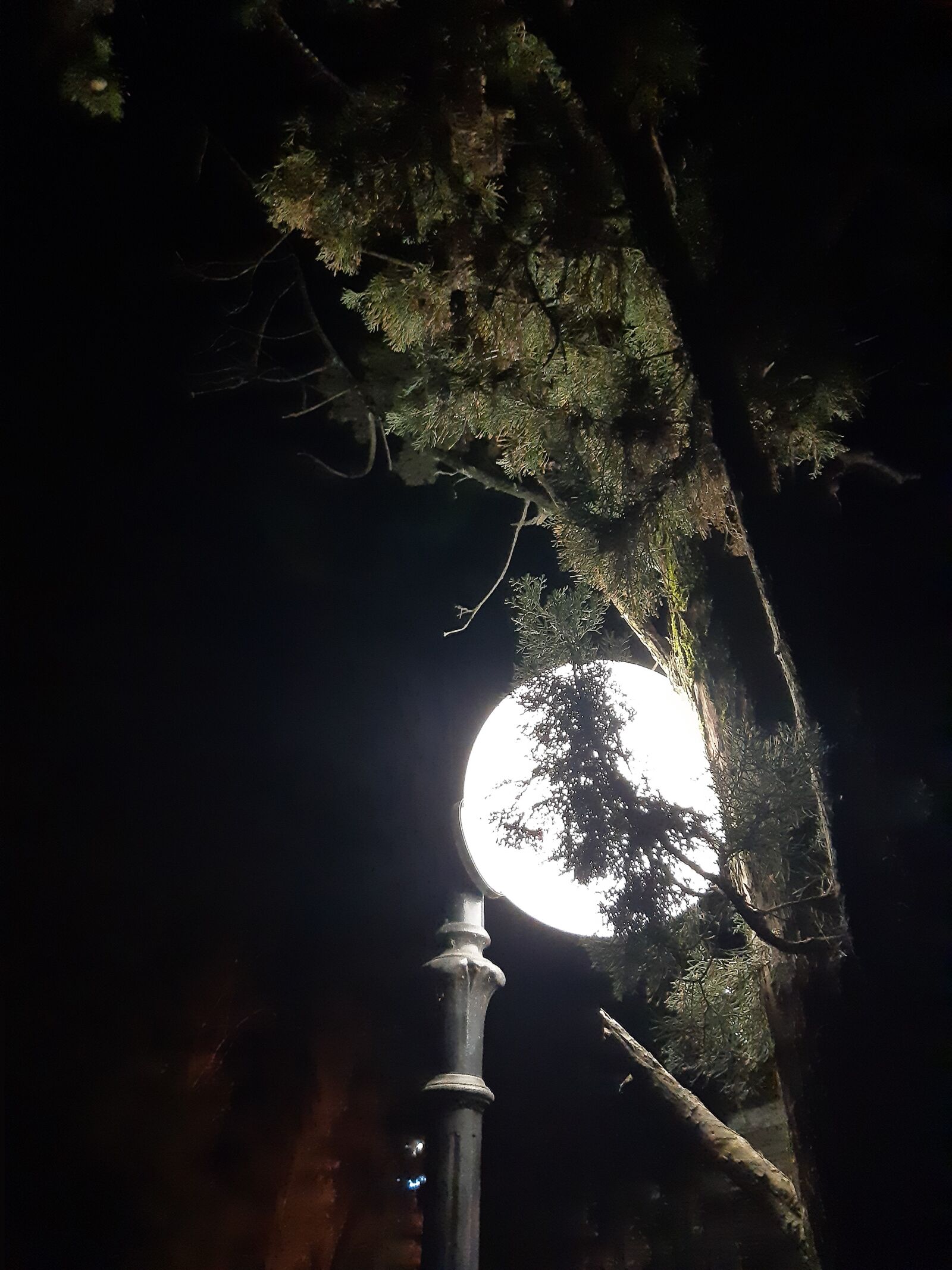 Samsung Galaxy A30 sample photo. Lantern, night, moon photography