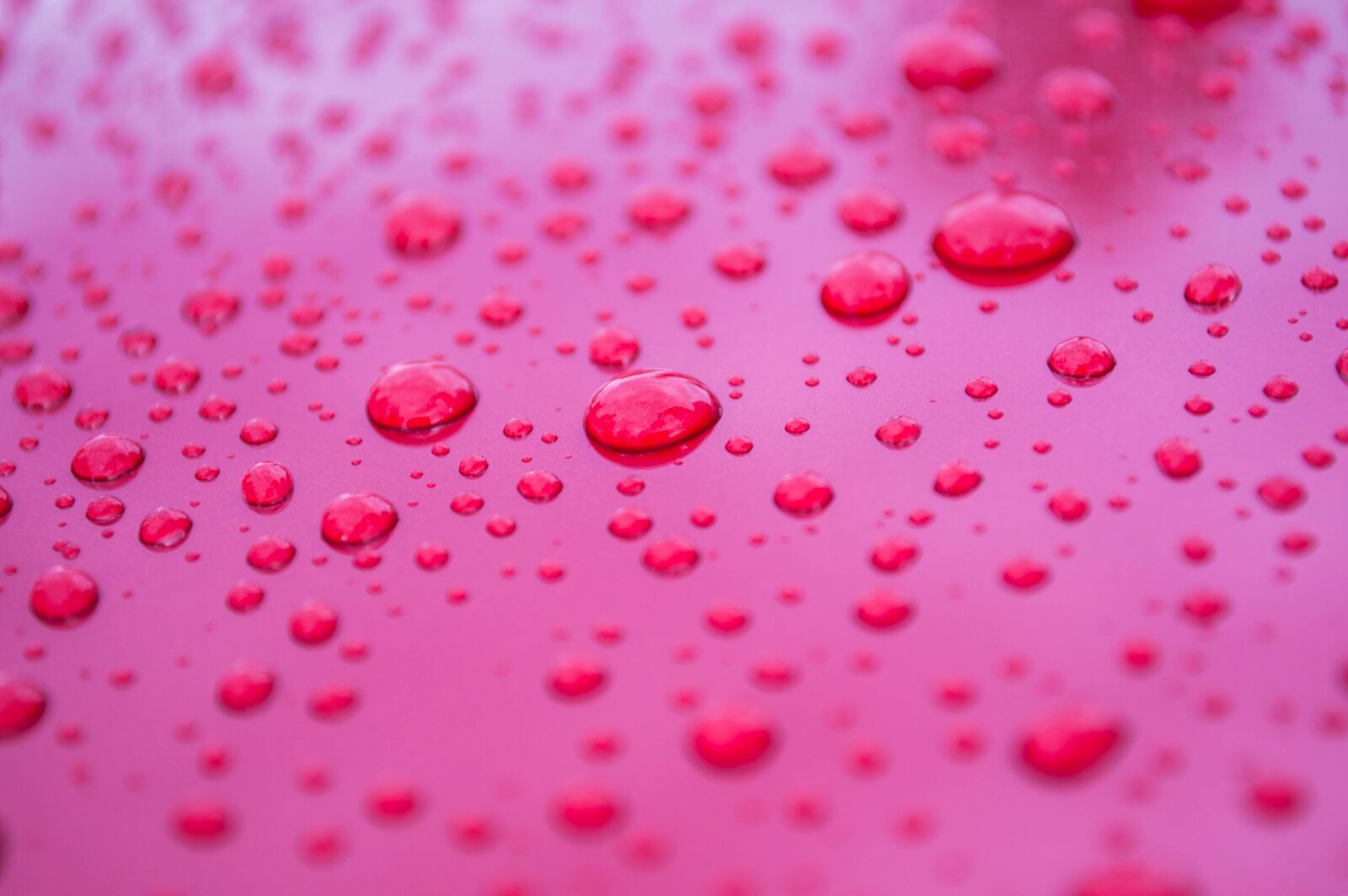 Nikon D90 sample photo. Raindrops, drop, rain photography