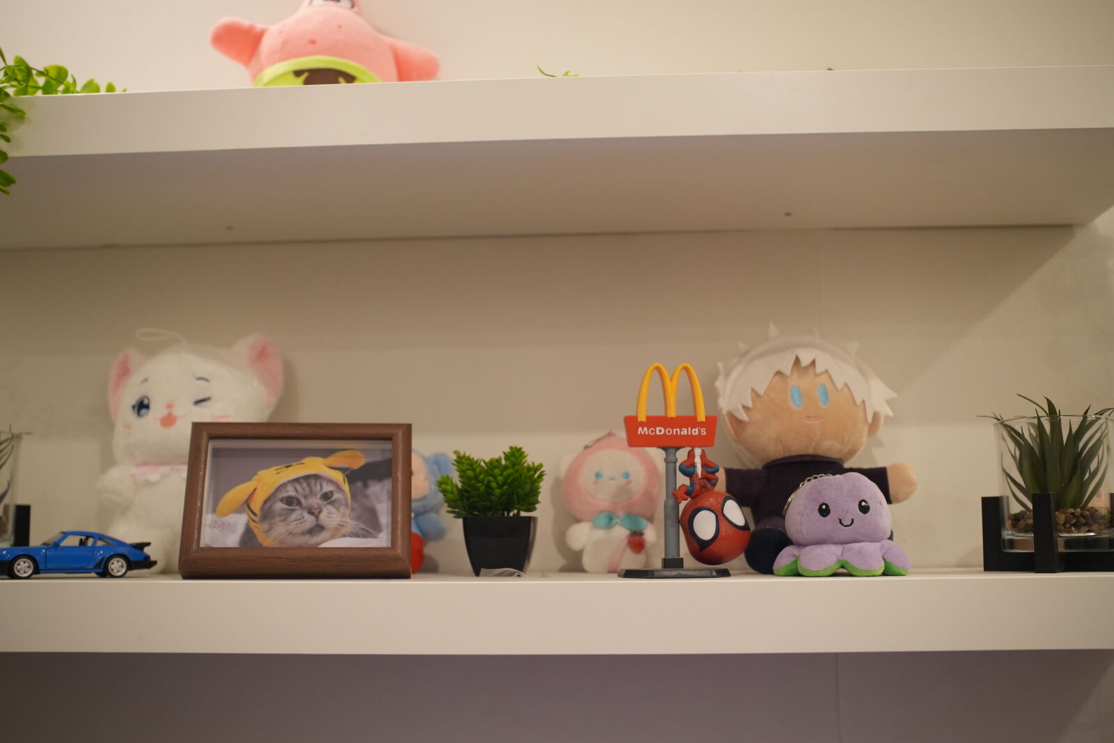 Sony a6700 sample photo