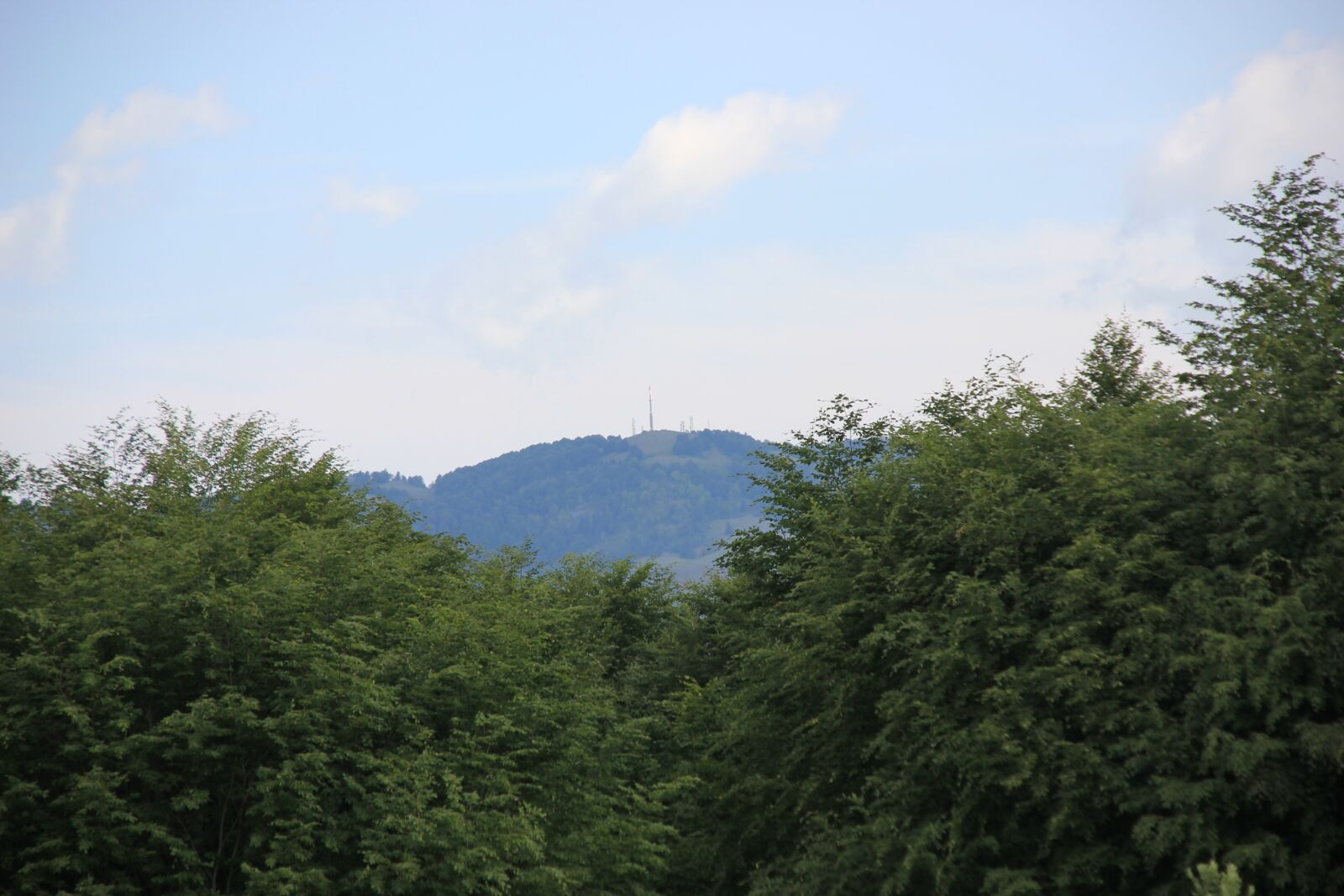 Canon EOS 550D (EOS Rebel T2i / EOS Kiss X4) sample photo. Forest, nature, green photography