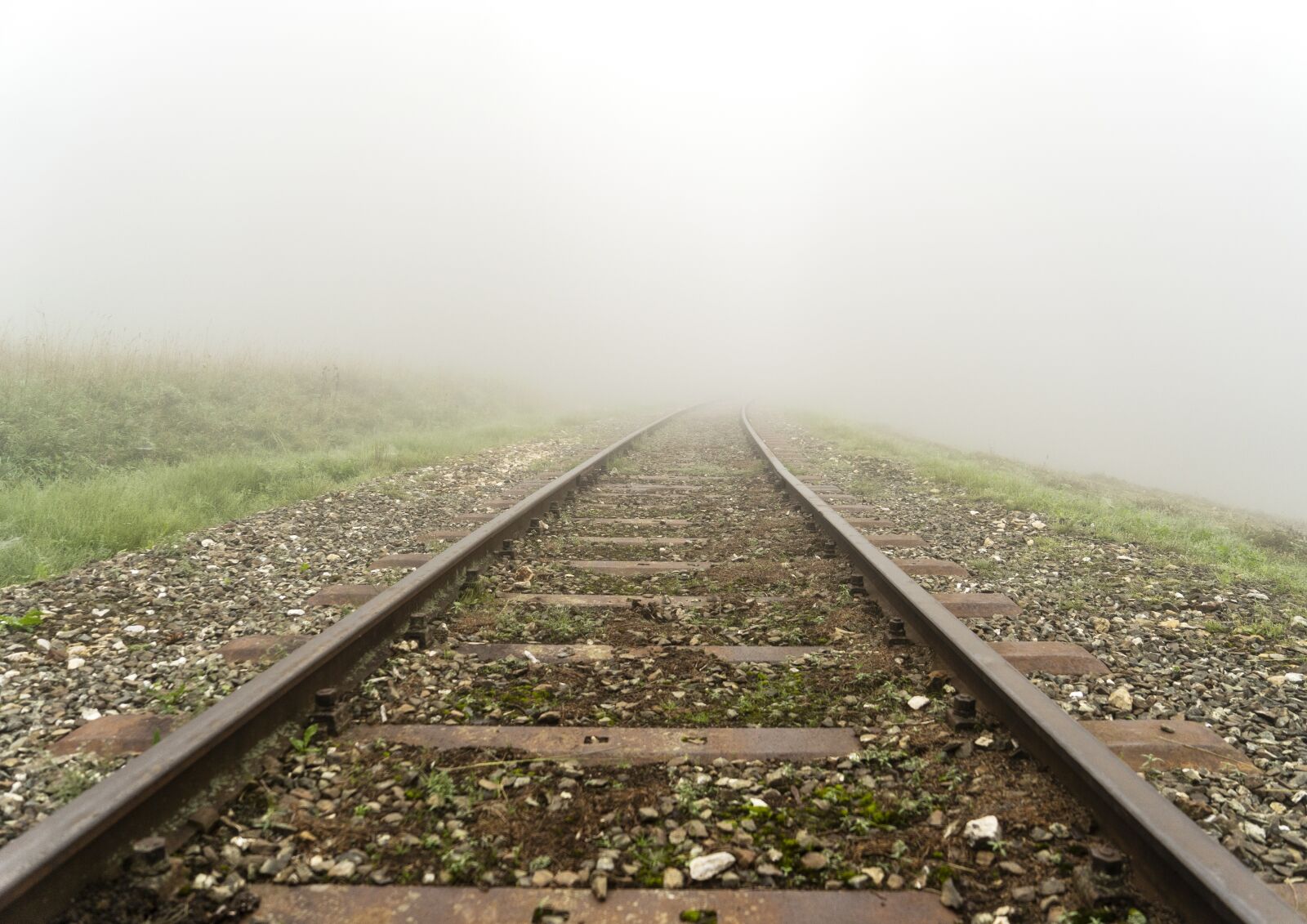 Sony a7 II + Sony Vario Tessar T* FE 24-70mm F4 ZA OSS sample photo. Rails, train, nature photography