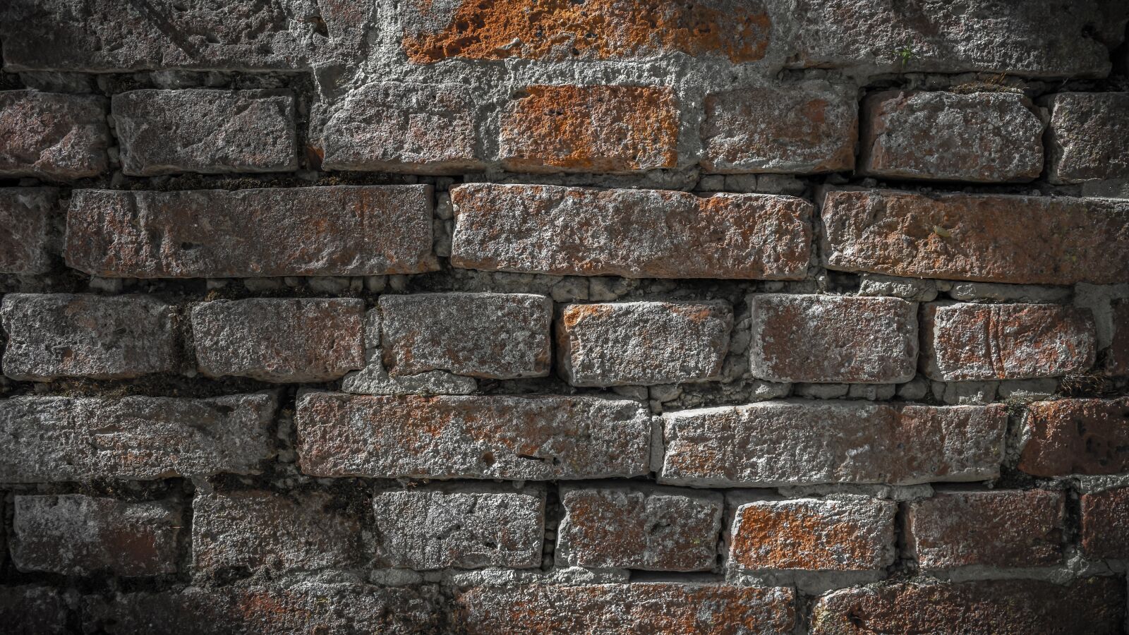 Sony a7 II + Sony FE 28-70mm F3.5-5.6 OSS sample photo. Wall, background, structure photography