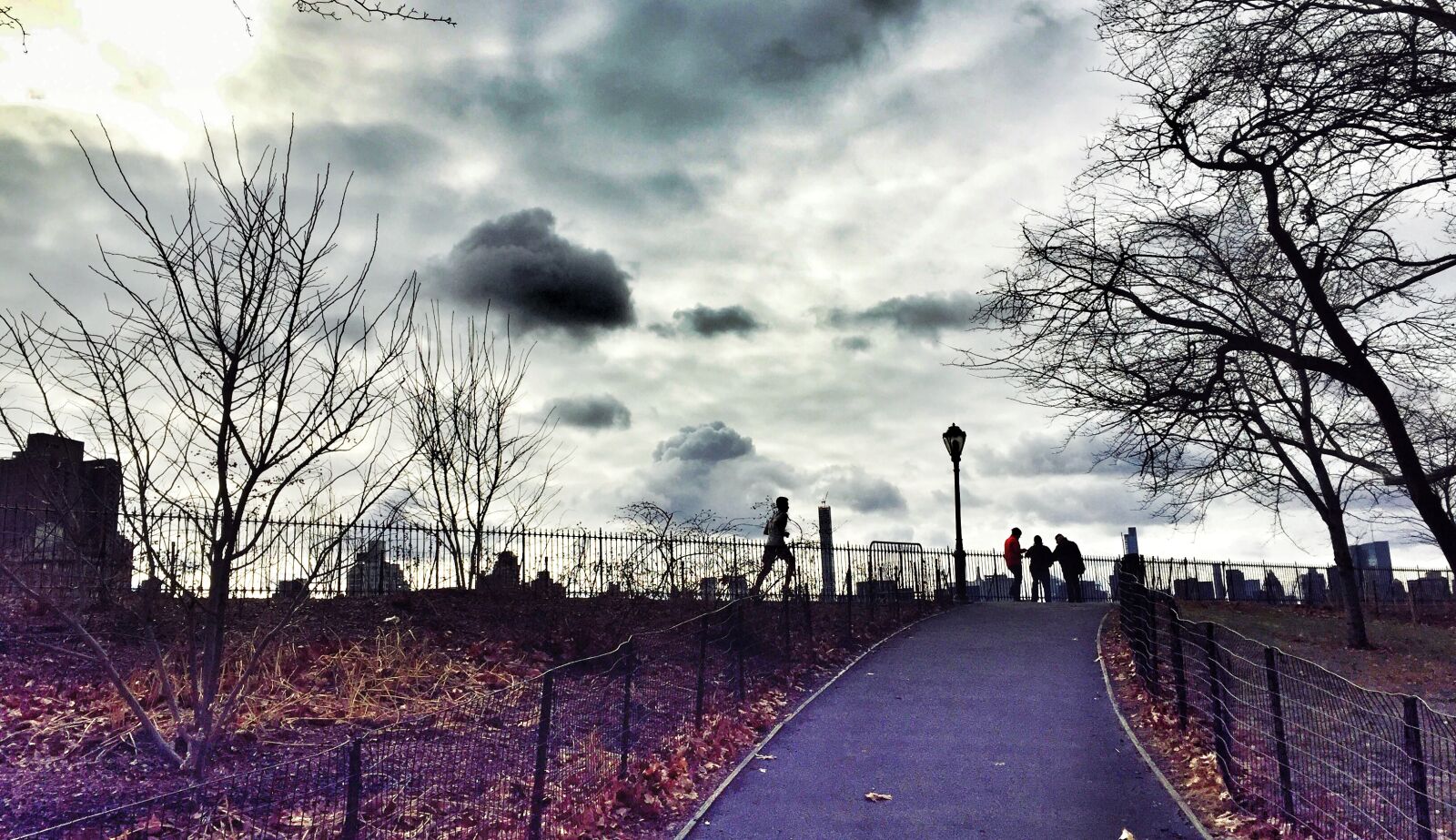 iPhone 6 back camera 4.15mm f/2.2 sample photo. Central, park, new, york photography