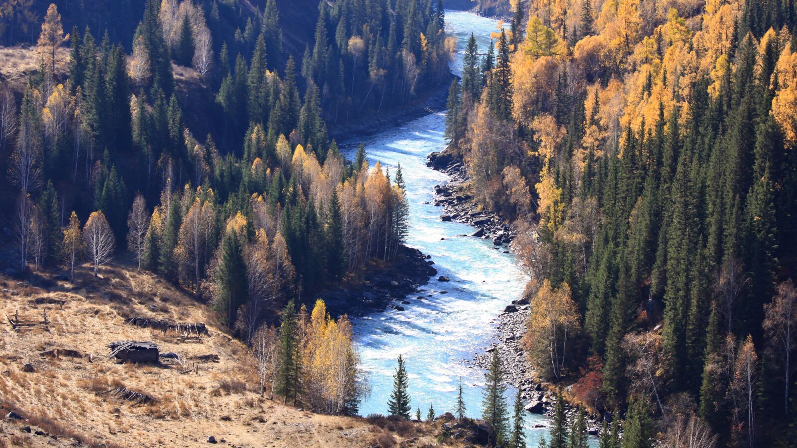 Canon EOS 50D sample photo. River, birch, natural photography