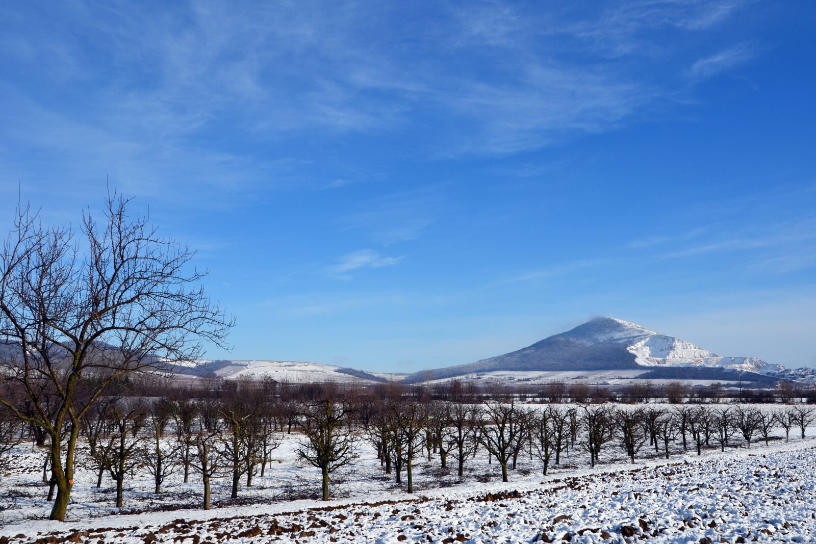 Nikon D3100 sample photo. Winter, szársomlyó, snow photography
