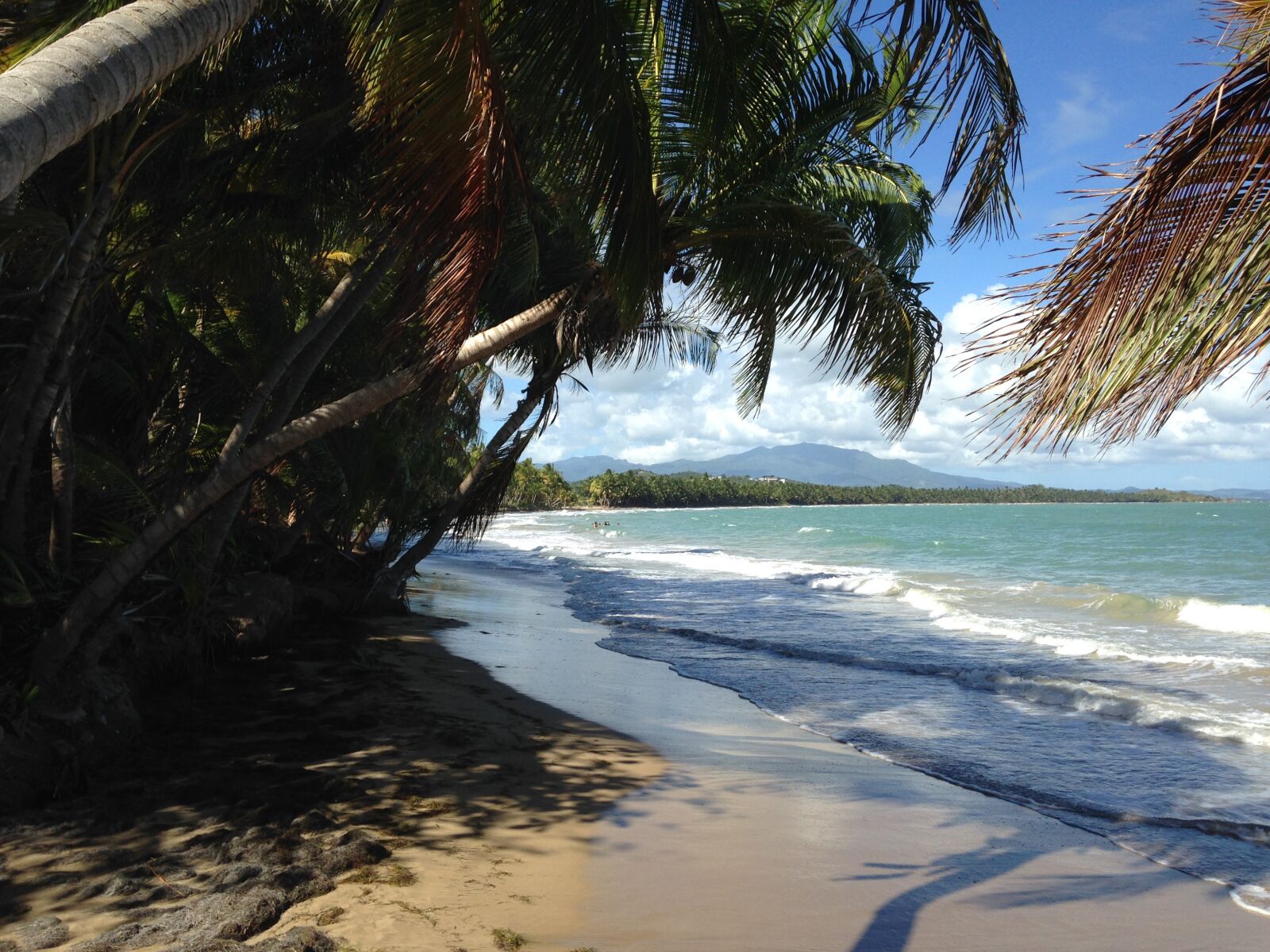 iPhone 5 back camera 4.12mm f/2.4 sample photo. Beach, palm trees, island photography
