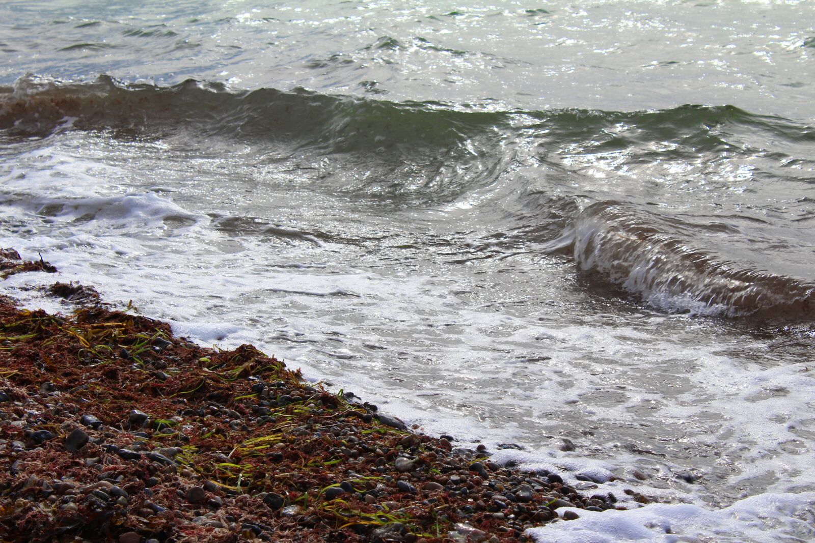 Canon EOS 1200D (EOS Rebel T5 / EOS Kiss X70 / EOS Hi) sample photo. Baltic sea, beach, wave photography